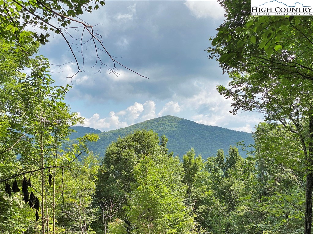 Tract 3 Spring Mountain Trail