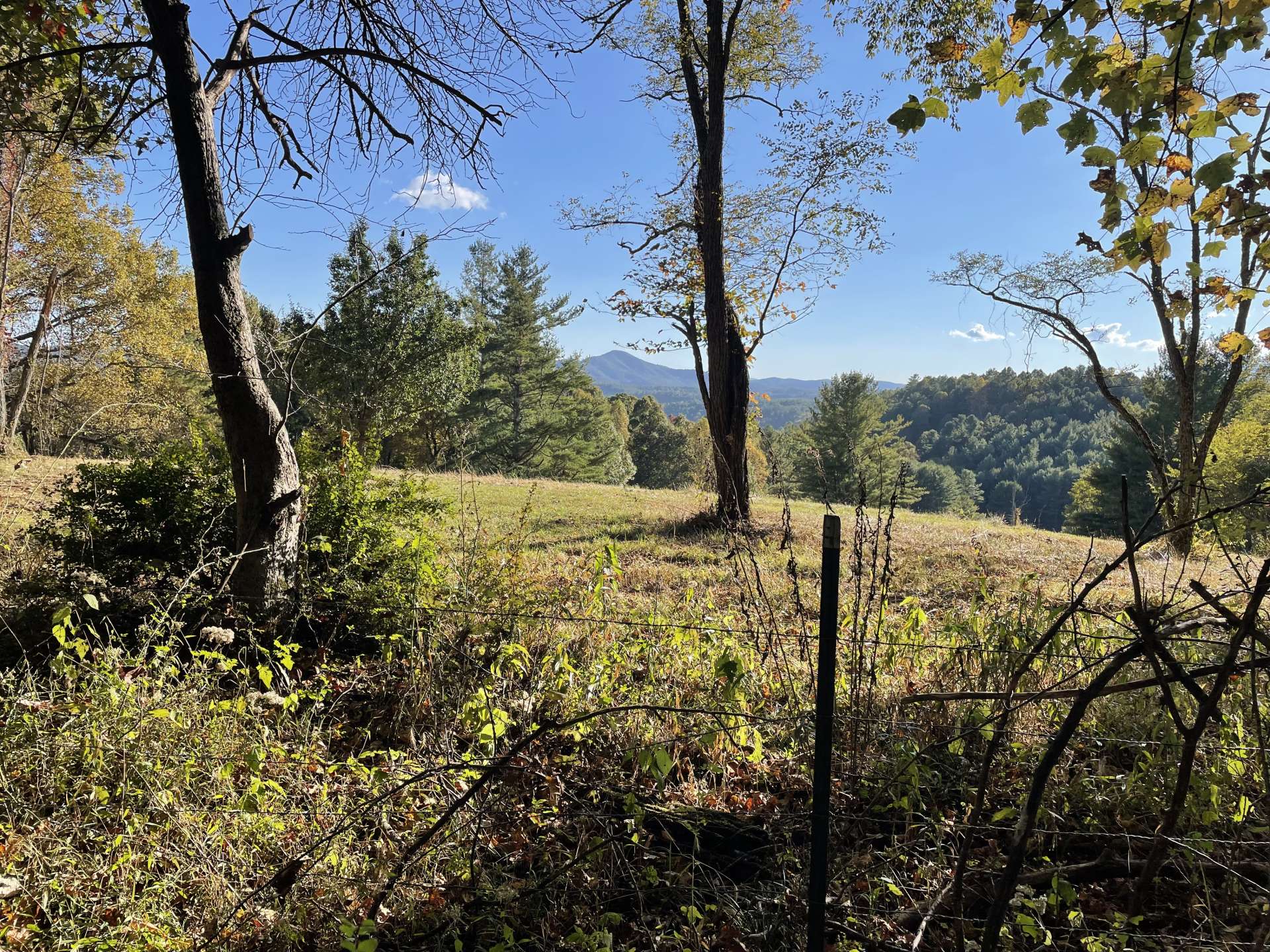 Southwest corner has great views across neighboring property.