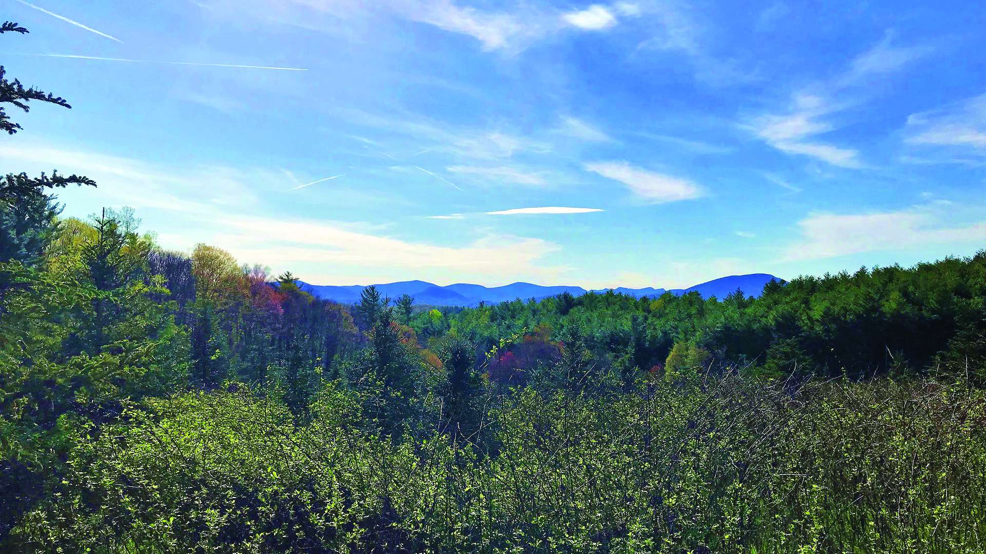 Offered at only $50,000, this 2.85 acre parcel is unrestricted and provides an excellent location for your vacation mountain retreat or primary residence. S276