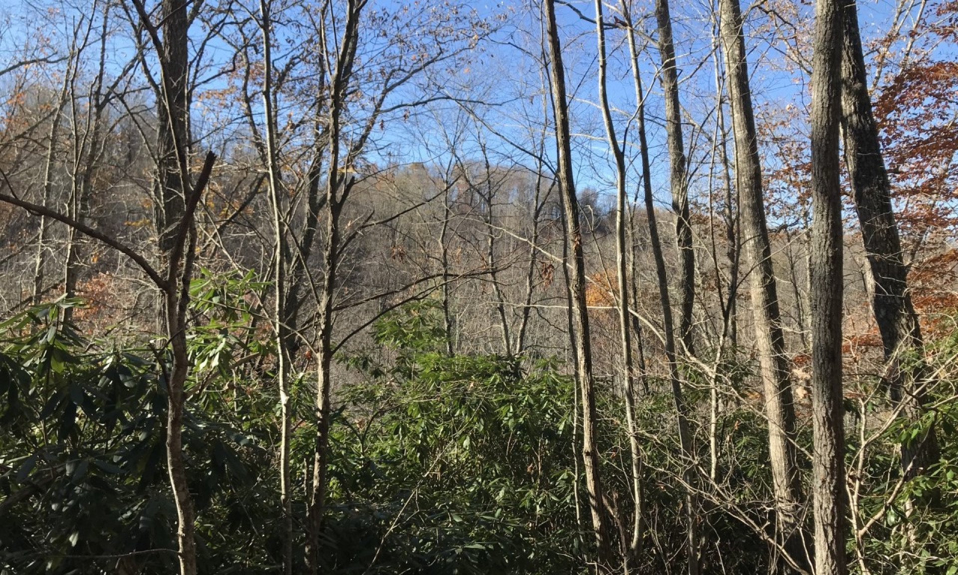 Unrestricted NC Mountain Acreage Tract
