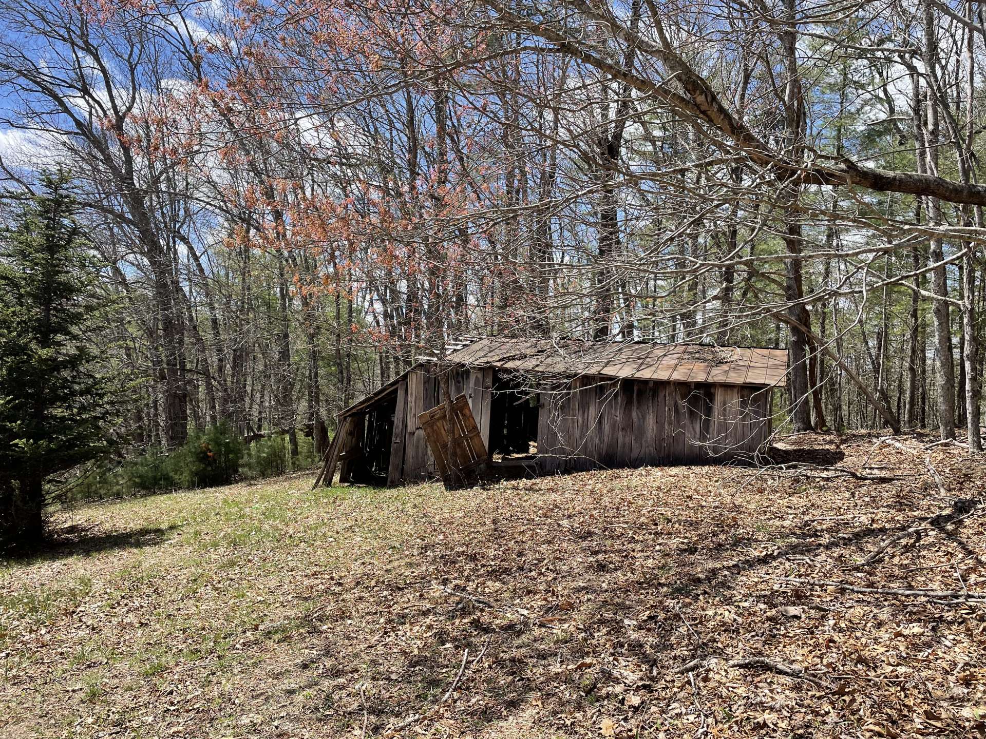 Old out building.