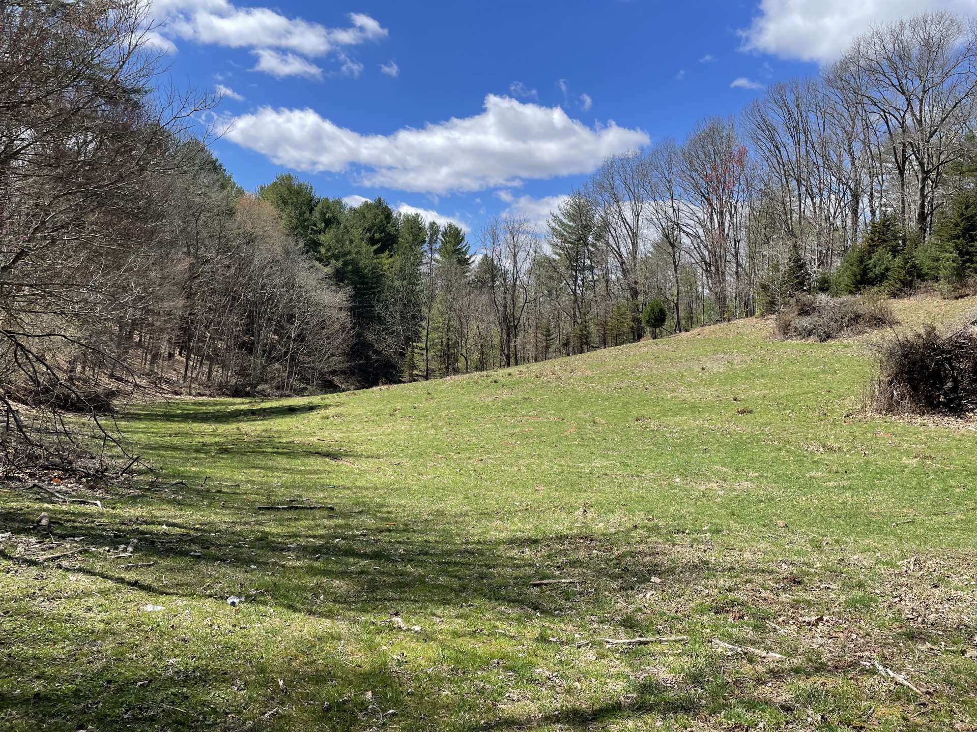 Rolling Pasture area.