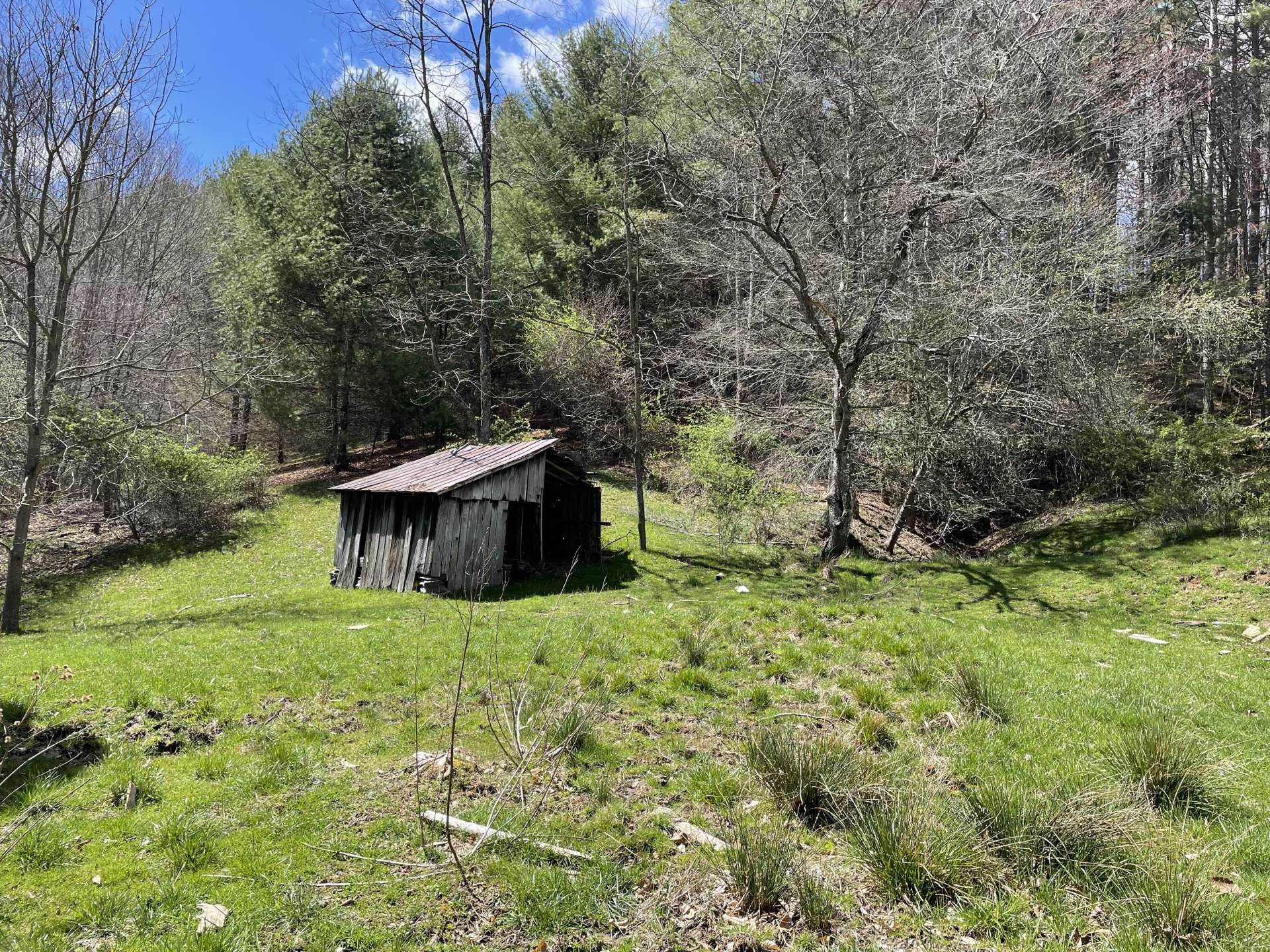 Old shed.