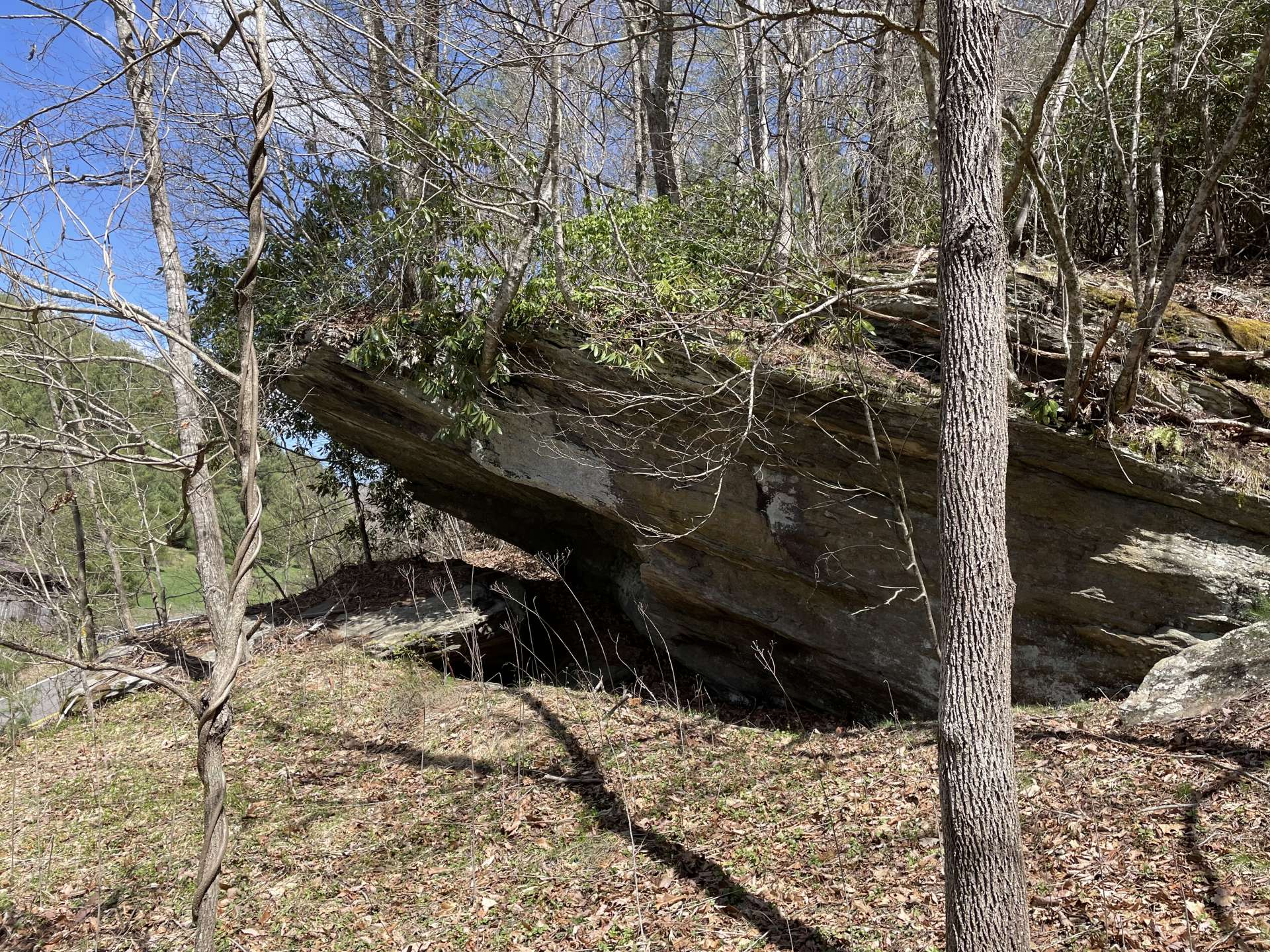 Rock outcropping at driveway entrance.