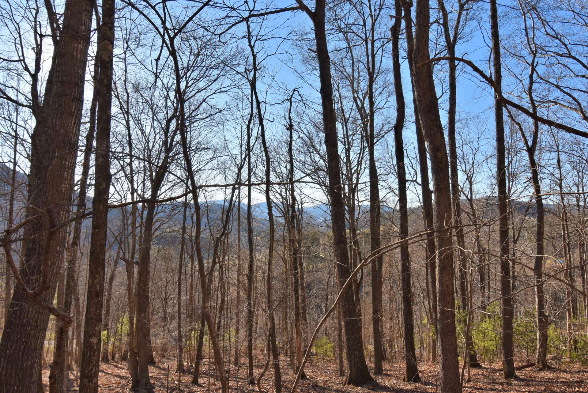 Naturally wooded home site with wonderful seasonal views.