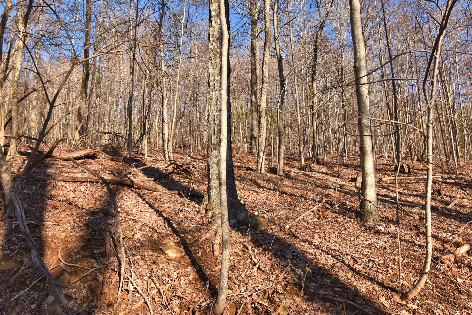 Naturally wooded, the home site is level to gently rolling creating the ideal place for the construction of your NC Mountain home or mountain retreat.