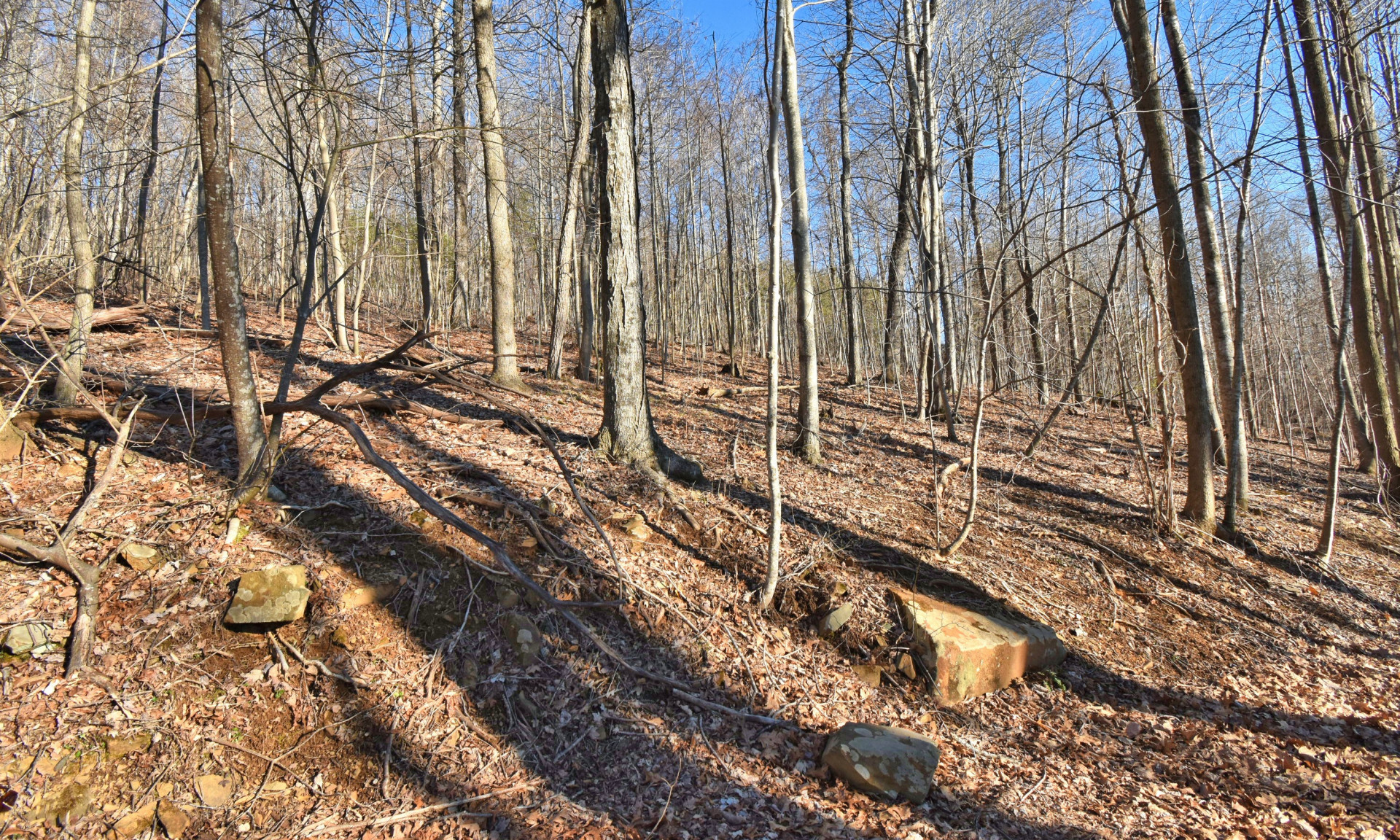A Beautifully wooded 2.287 acre home site with a diverse mixture of young hardwoods and mountain foliage, the ideal place to build your mountain cabin.