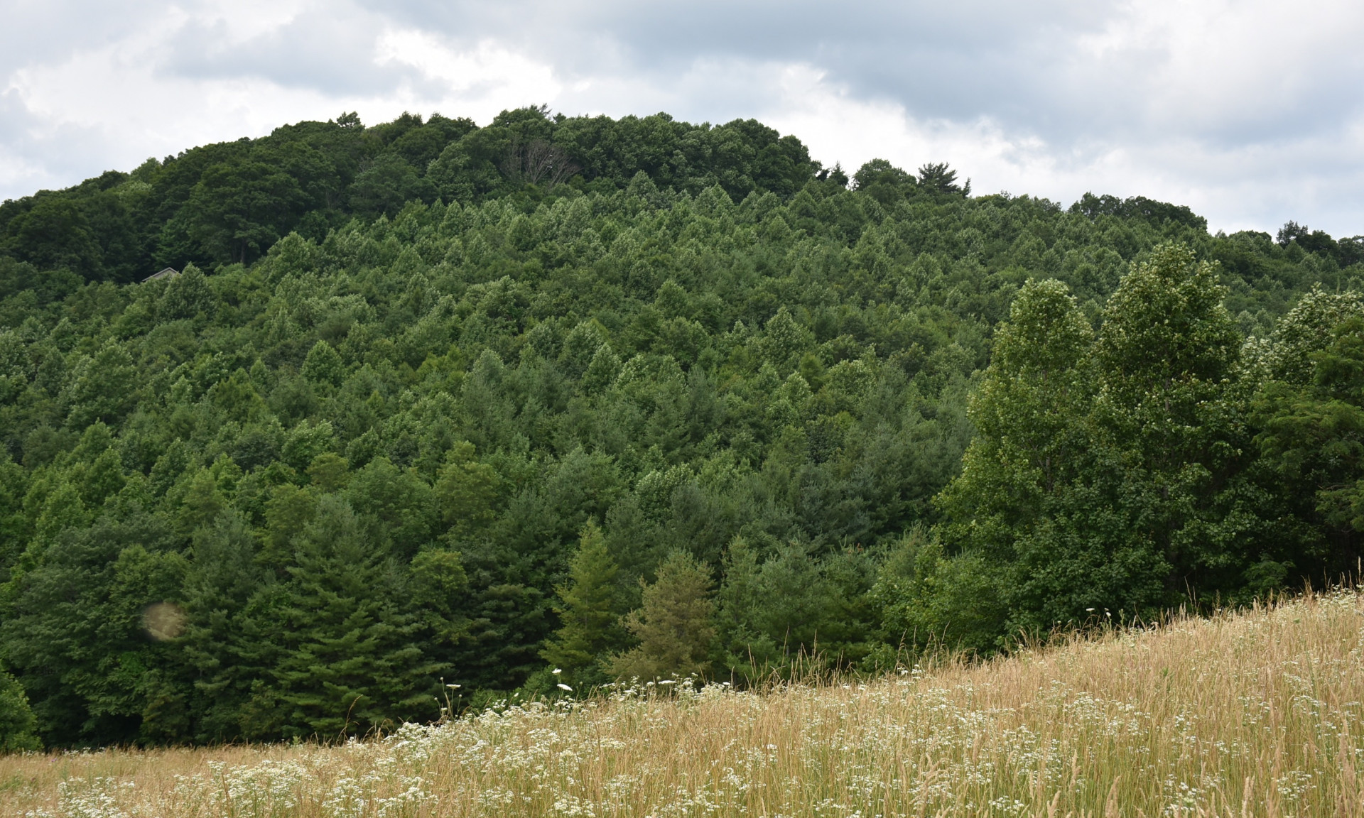 View of Subject Property from across the Road