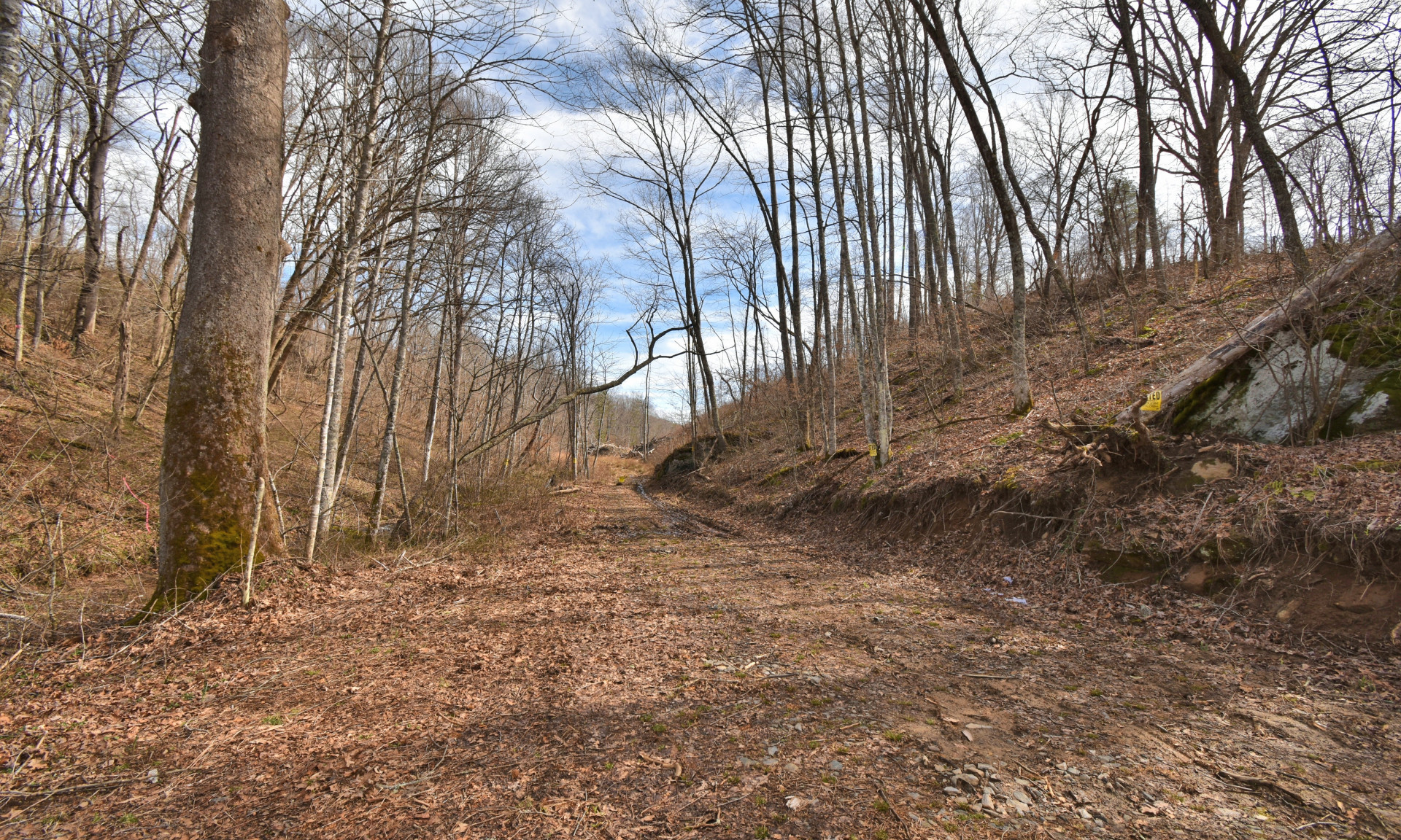 Unrestricted NC Mountain Land New River Views