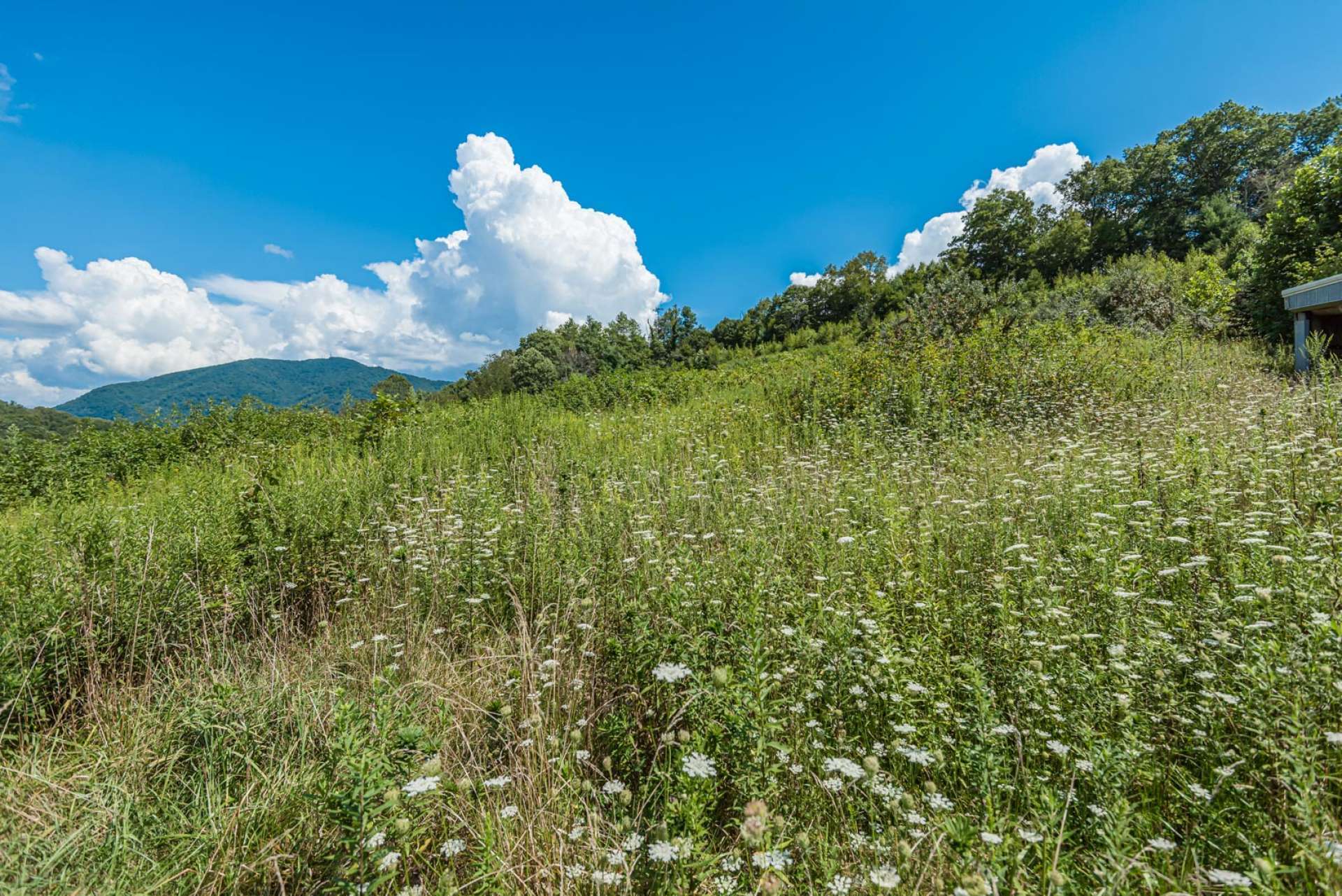 Reclaimable pasture land offers potential for horses or other livestock.  Gorgeous ridgetops provide envious potential home sites with views.