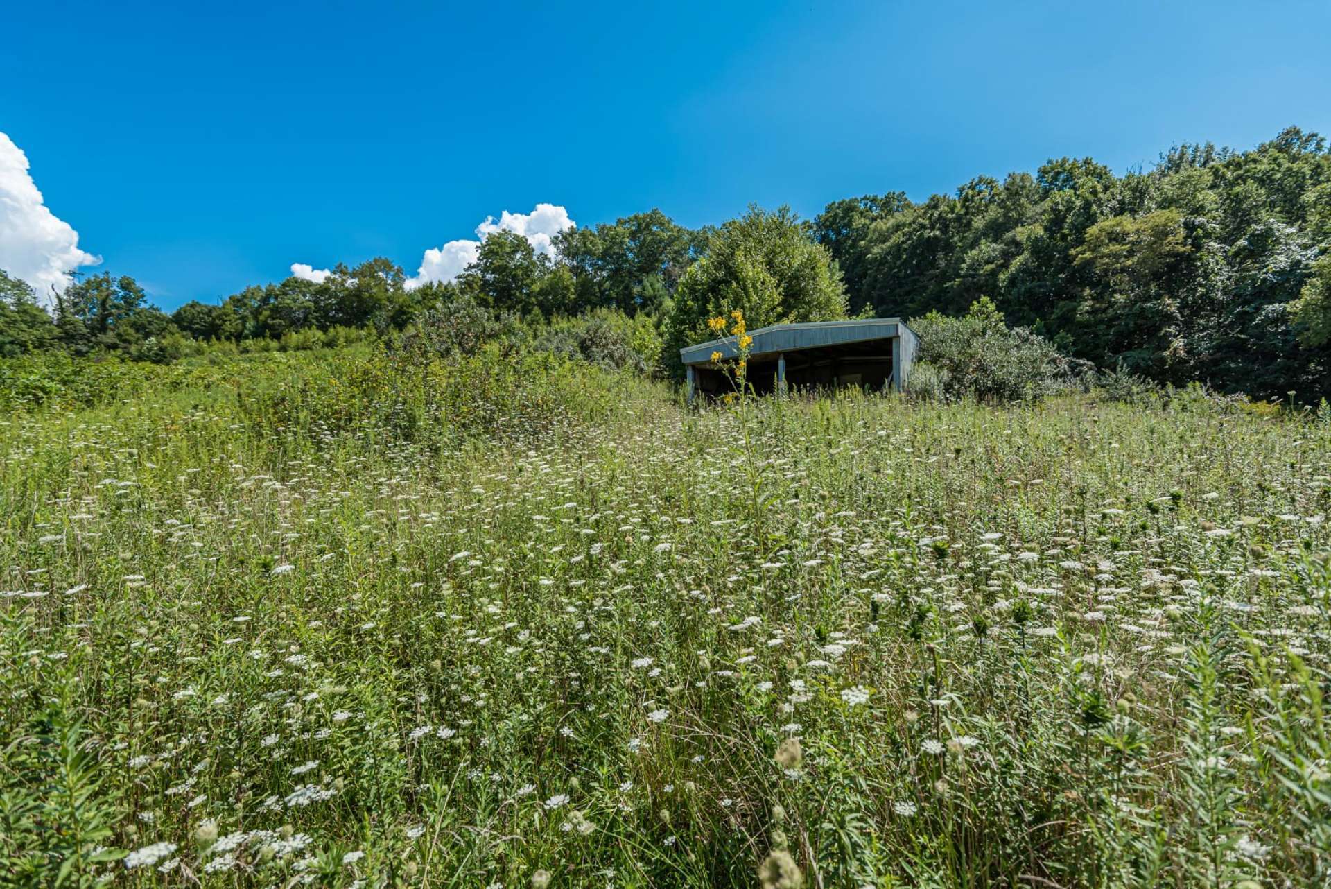 Simply beautiful estate sized homesite.