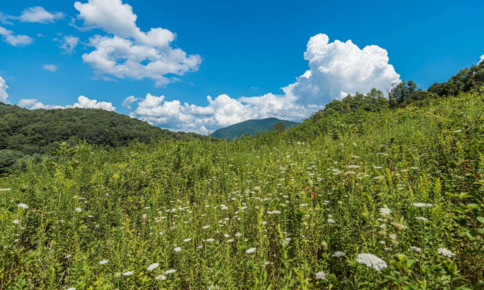 Located in the rolling hillsides of Ashe County, in the NC Mountains, this 6.7 acre tract offers the ideal location for the construction of your private North Carolina mountain cabin or home.