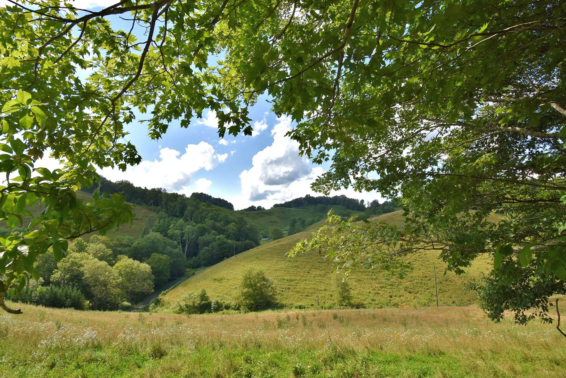 This is the view from the property look over the adjoining tract.  Looking for more that 25+ acres?  This tract is part of a larger tract that is also for sale.