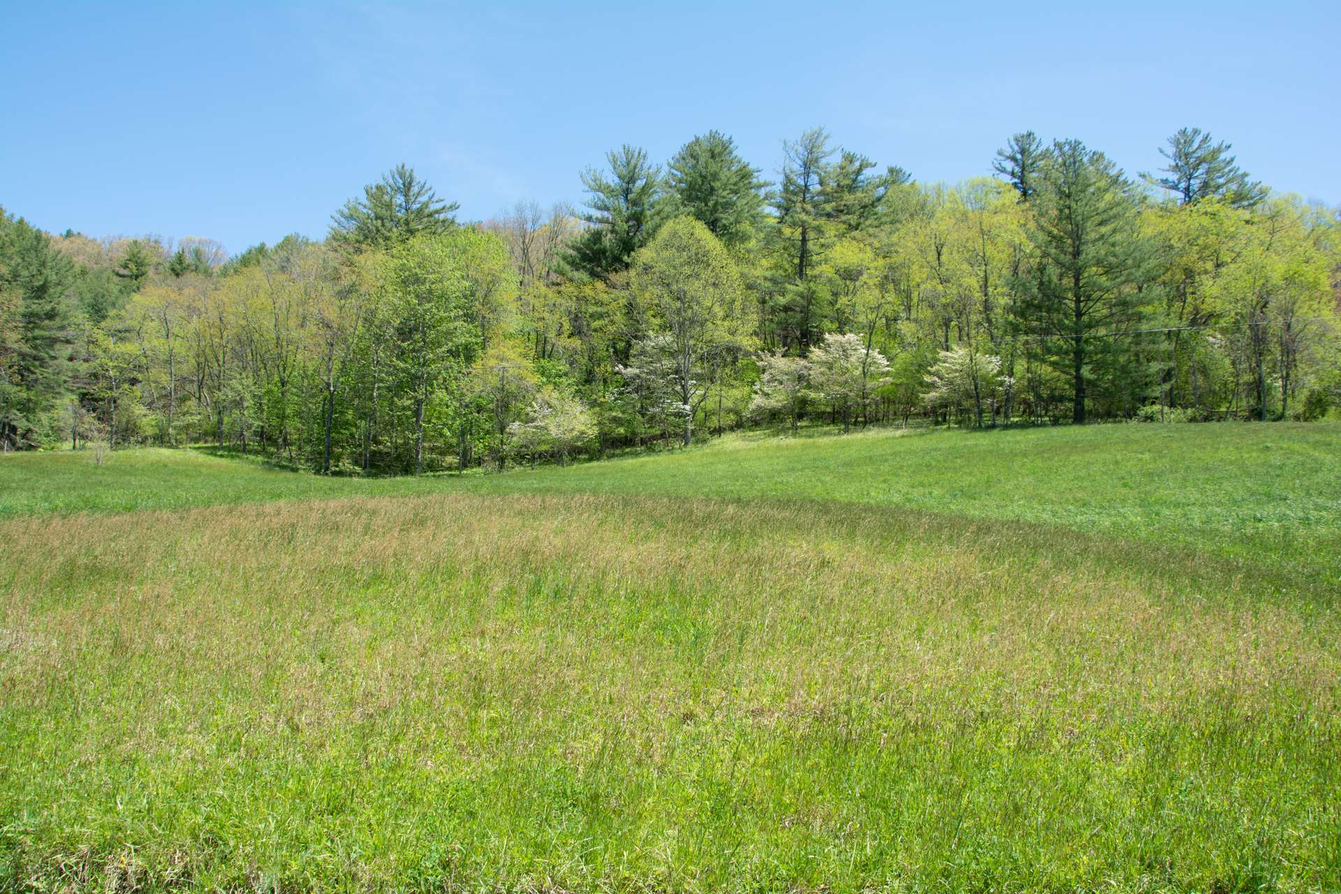 Behind the home site, the property is wooded hillside and a habitat to lots of wildlife.