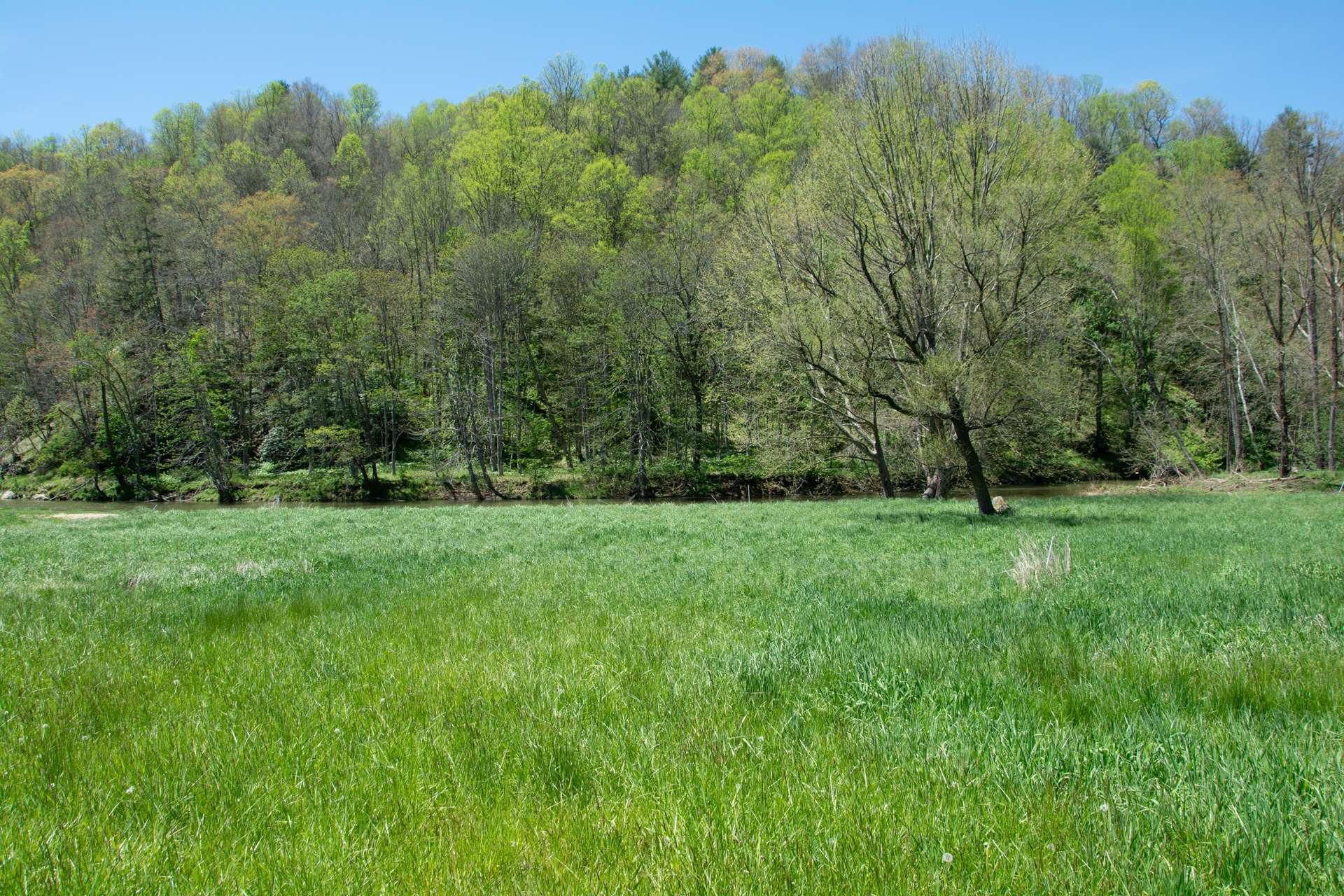 Unrestricted Riverfront NC Mountain Land