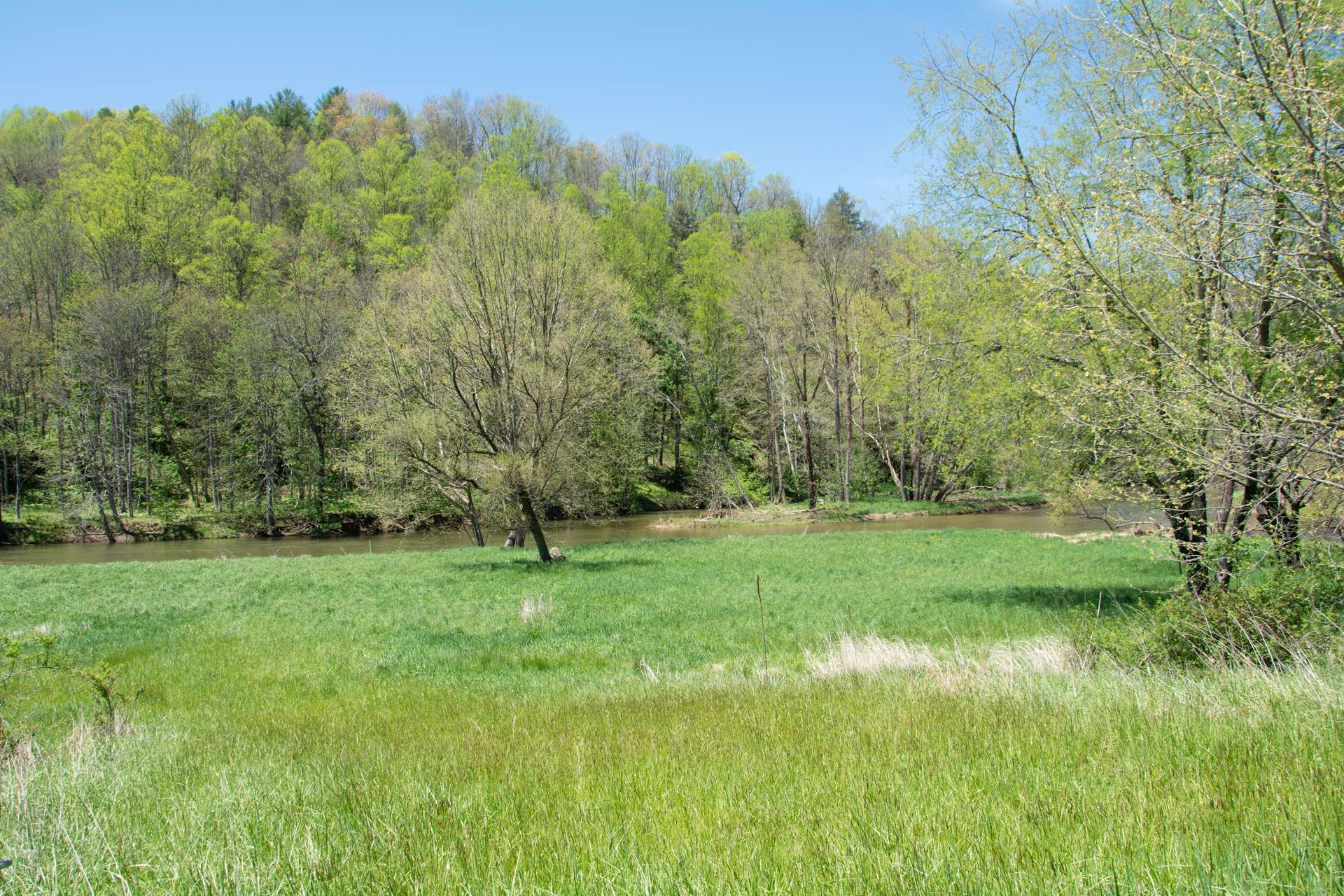 Unrestricted Riverfront NC Mountain Land
