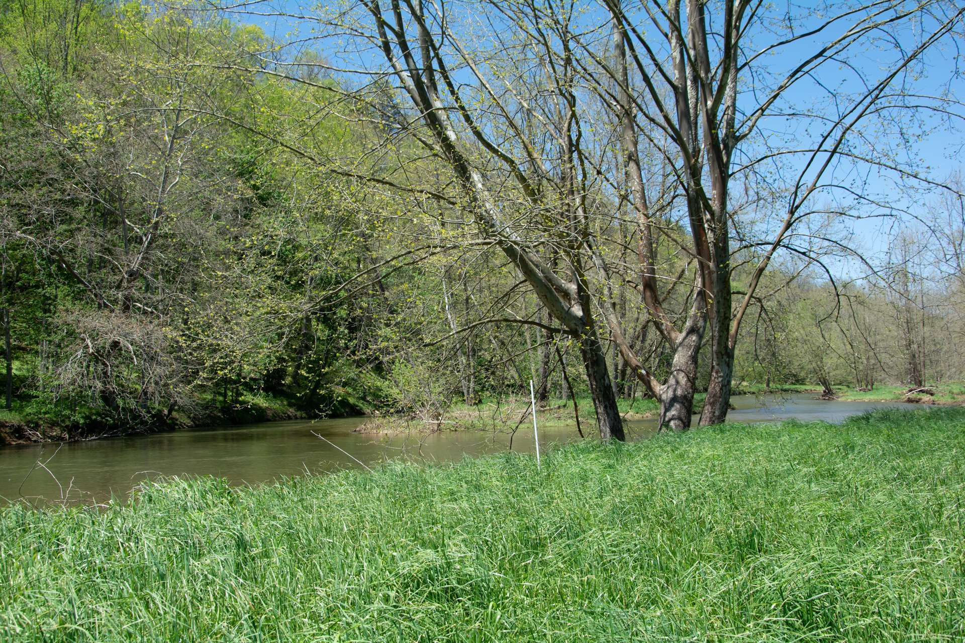 This gorgeous 8.84 acre riverfront land tract is offered at $250,000.