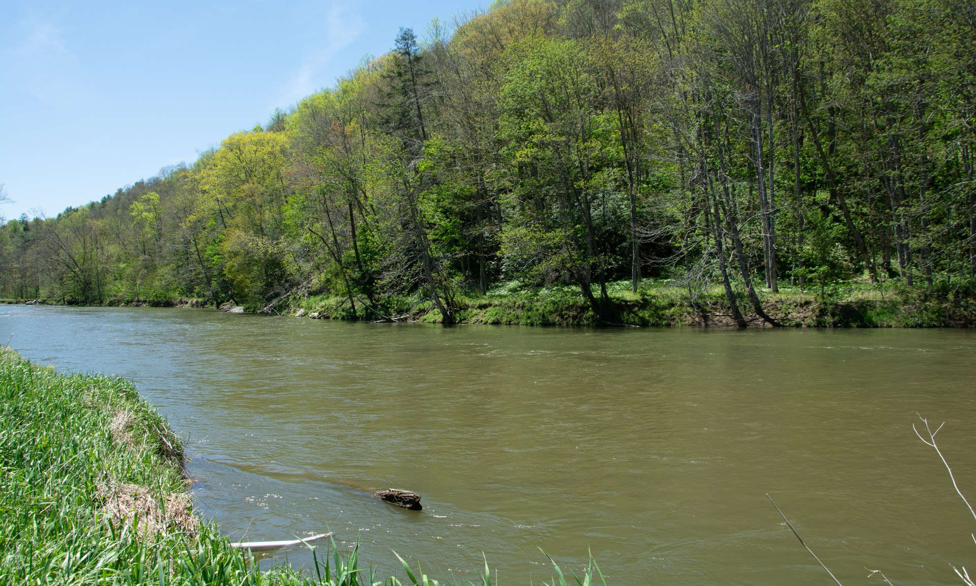 Truly a rare find in this 8.84 acre unrestricted riverfront NC Mountain tract of land located off of Willie Brown Road in the Crumpler area of Ashe County, NC.