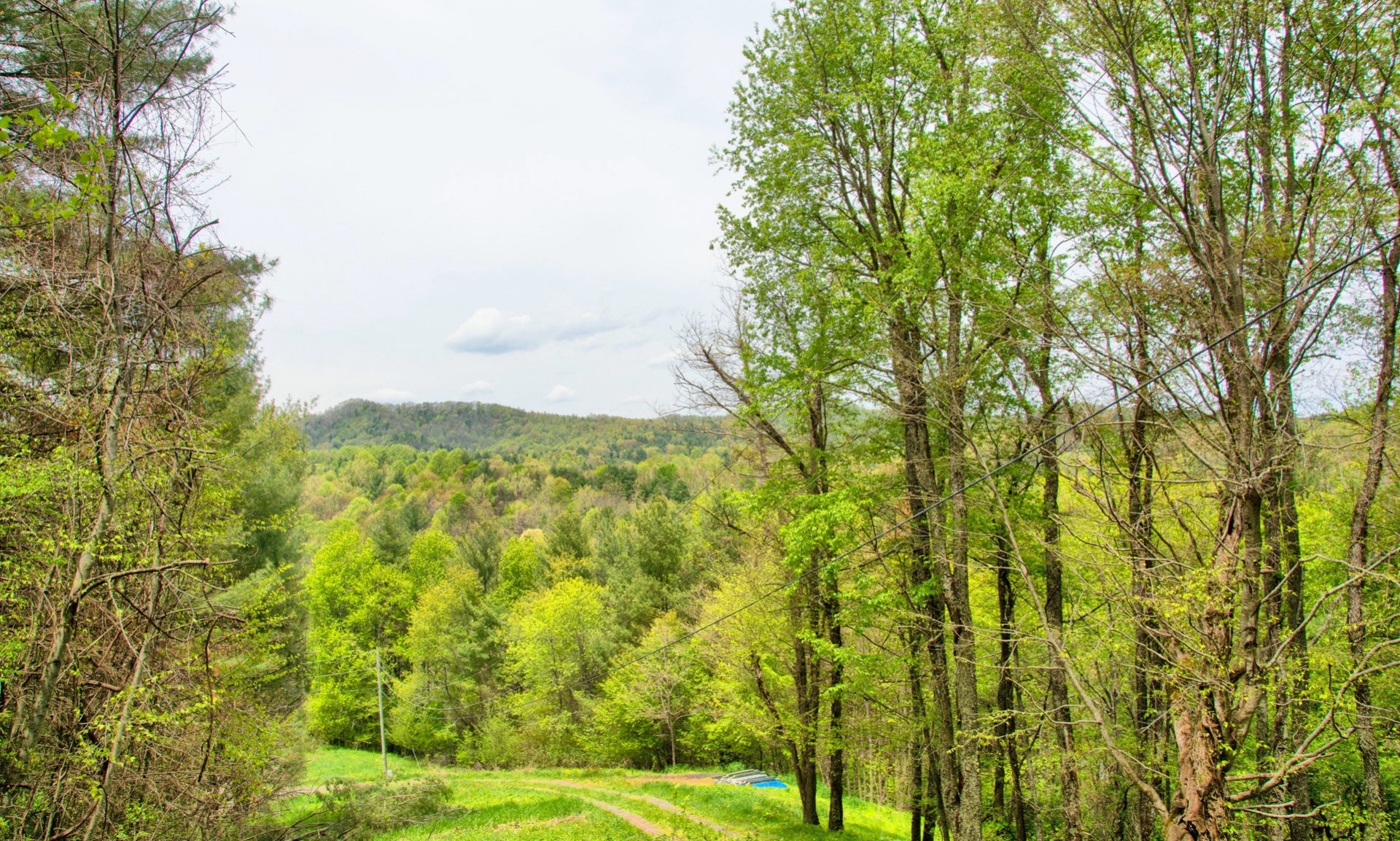 Enjoy peace and quiet and the gorgeous mountain surroundings on this affordable 4.55 acre land tract the Warrensville area of Ashe County.