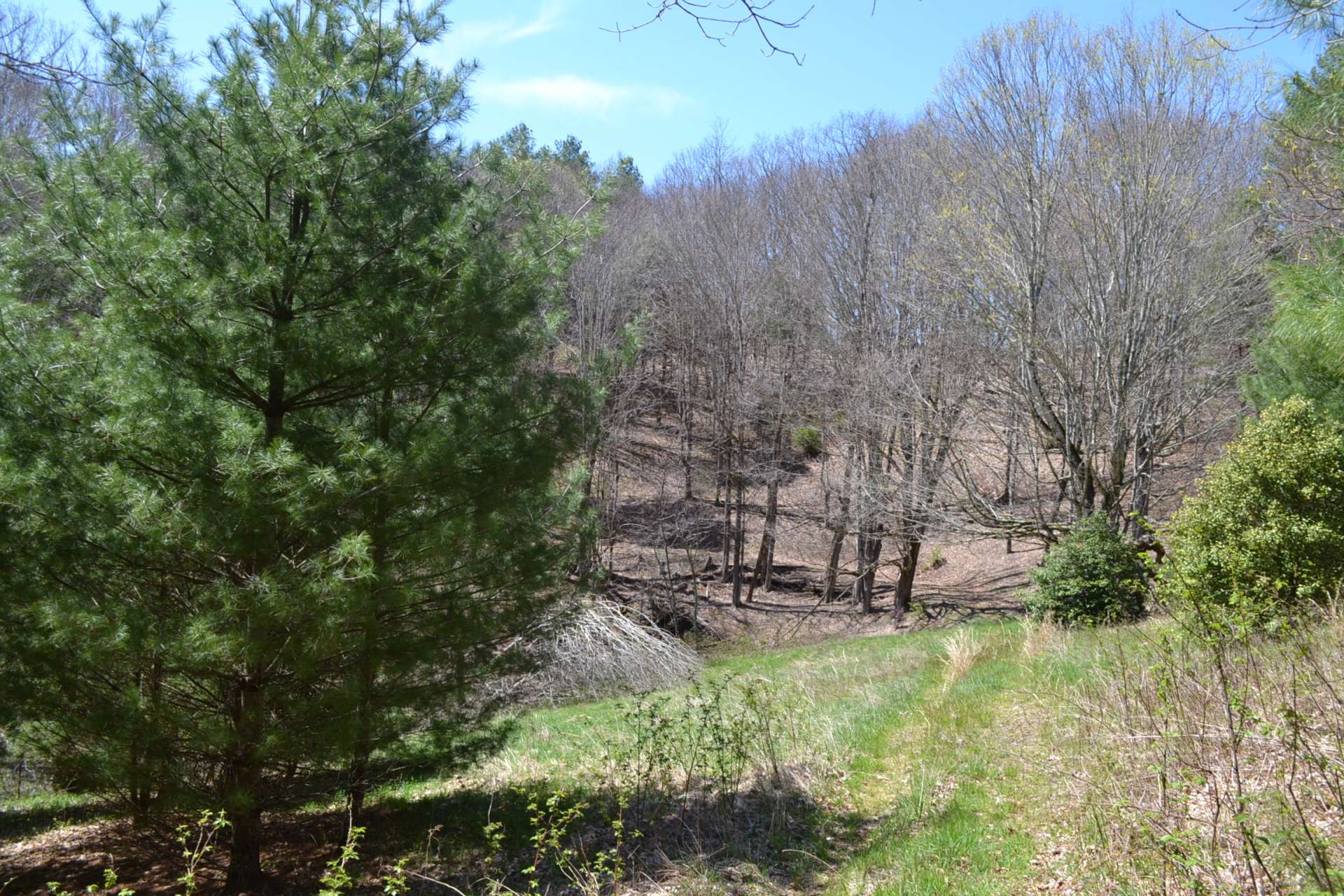 Follow the road on around and find a natural spring head in a “bowl” type setting creating pond potential.