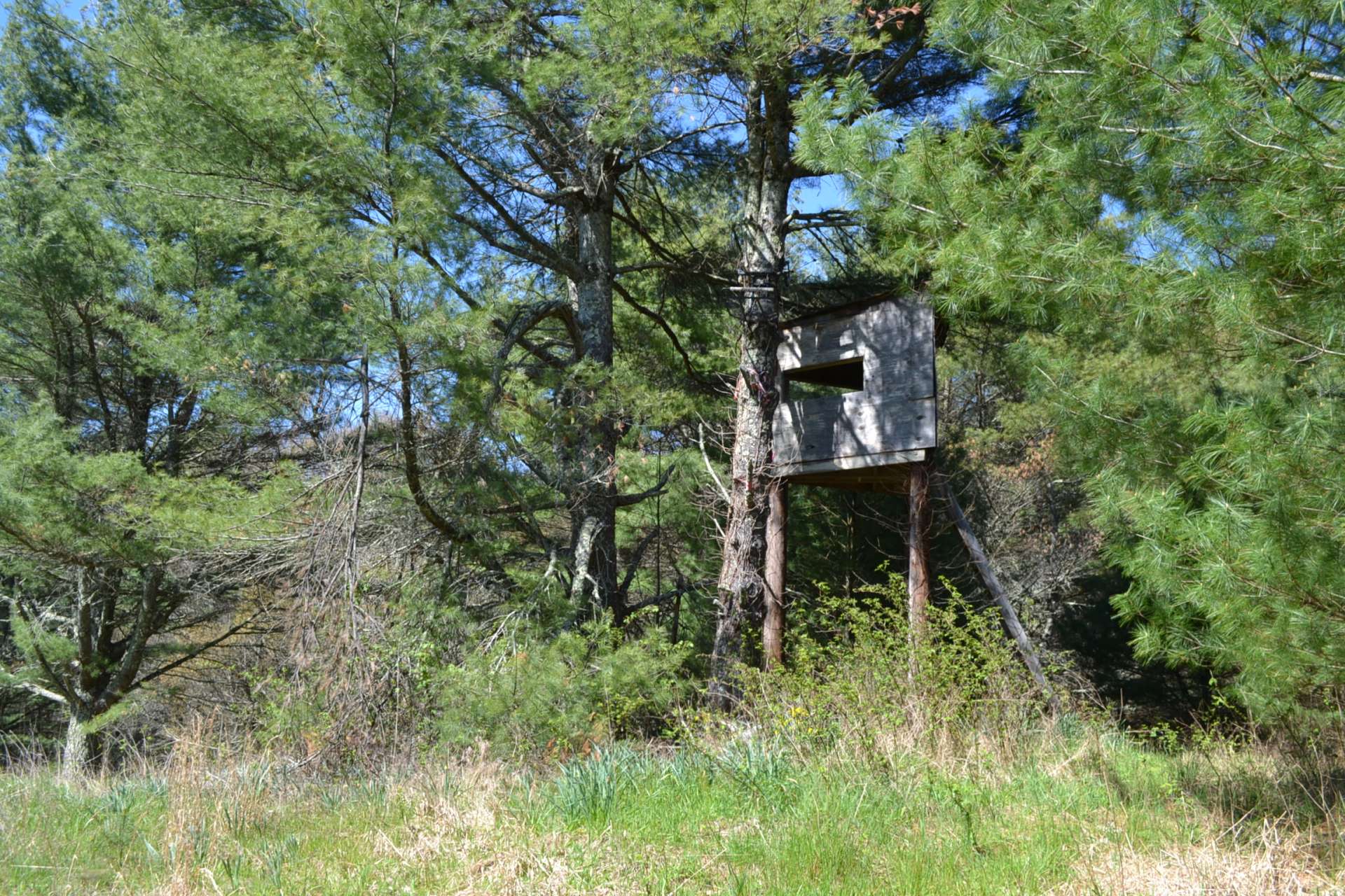 Third deer stand.  A hunter’s delight!