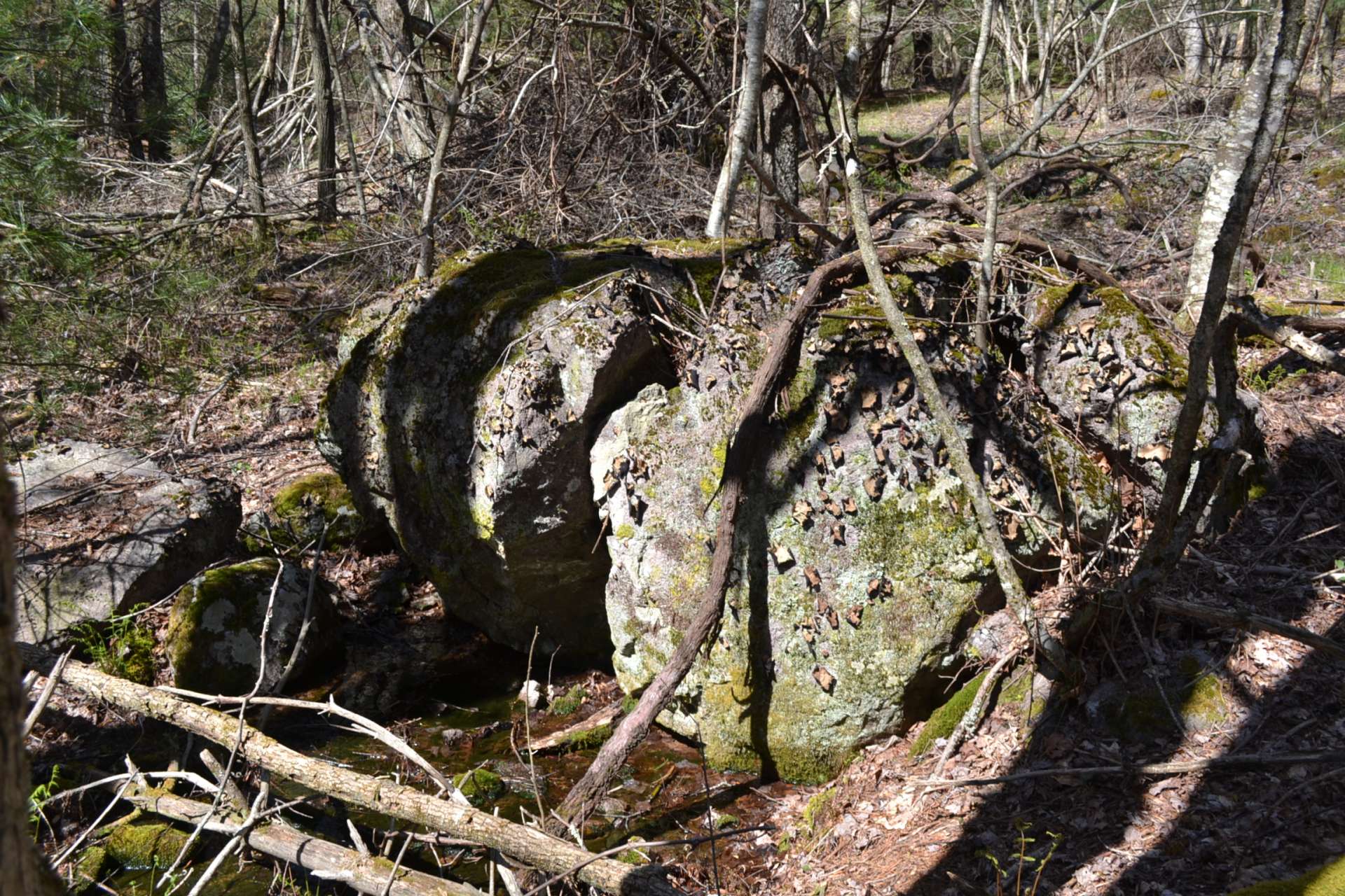 The land offers unique rock formations, this one seemingly on top of a natural spring.