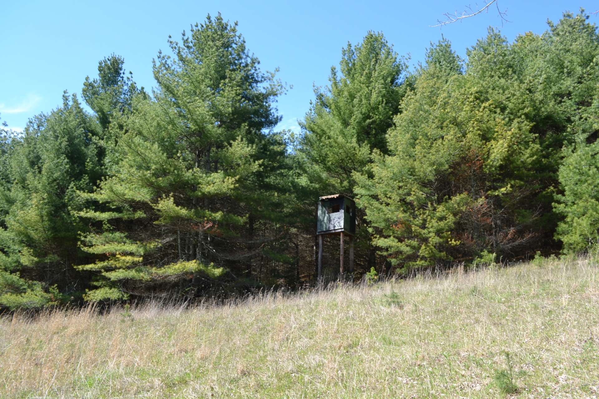 This is where you will find the first of three deer stands in place on the property.  Open fields buffered by woodlands is a great opportunity for bird hunting.