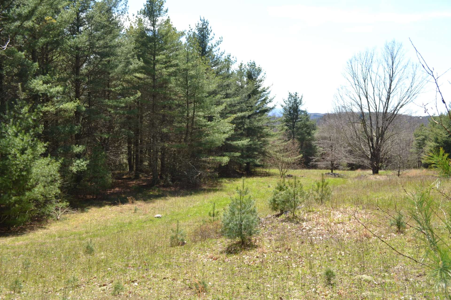 This is the first of three fields on the property, all buffered by serene woodlands.