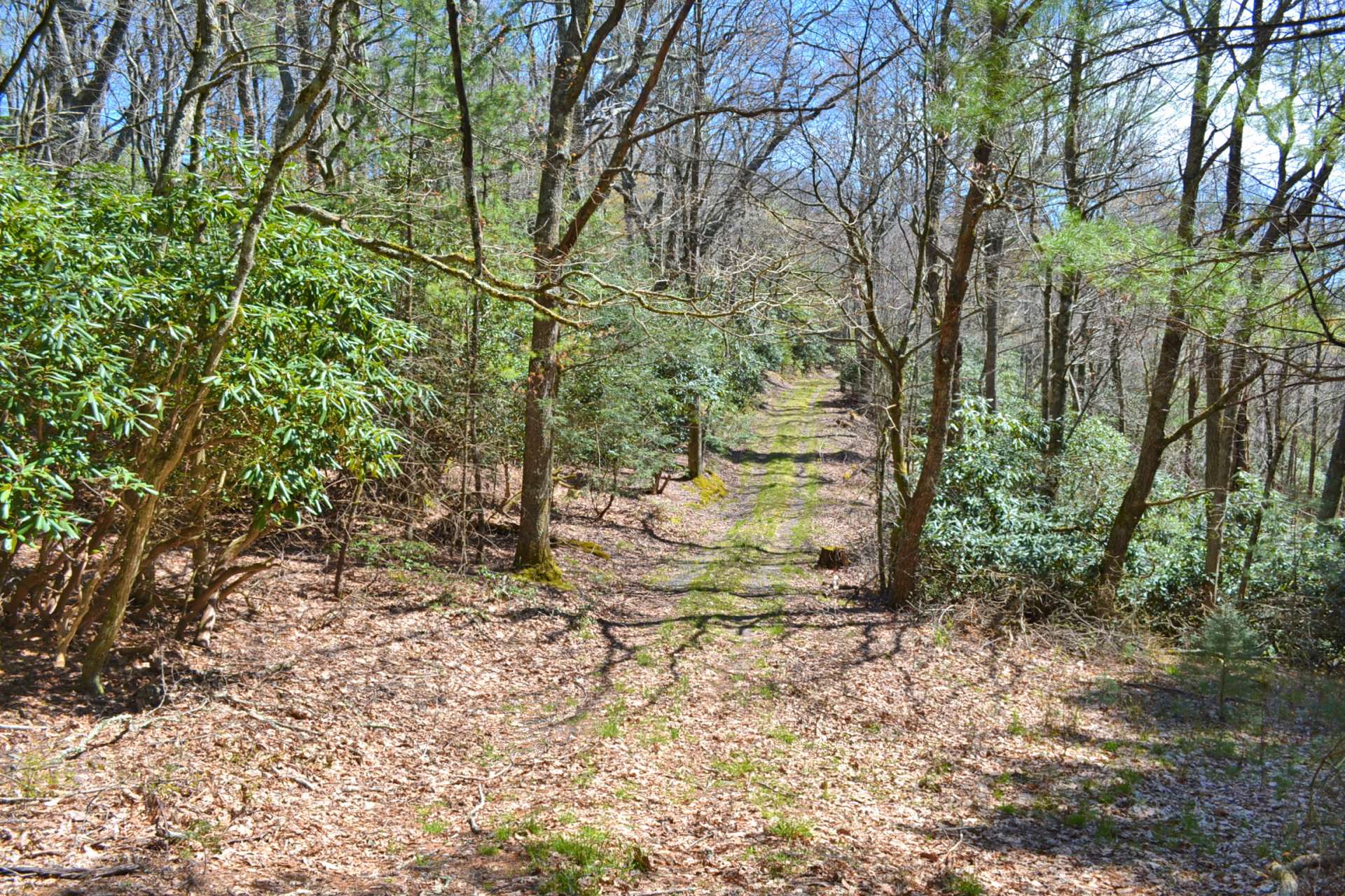 A hunter’s paradise, this tract offers vast woodlands with a diverse mixture of hardwoods, conifers and native mountain foliage.  Plenty of opportunities to hike, hunt or just explore on your own private property.