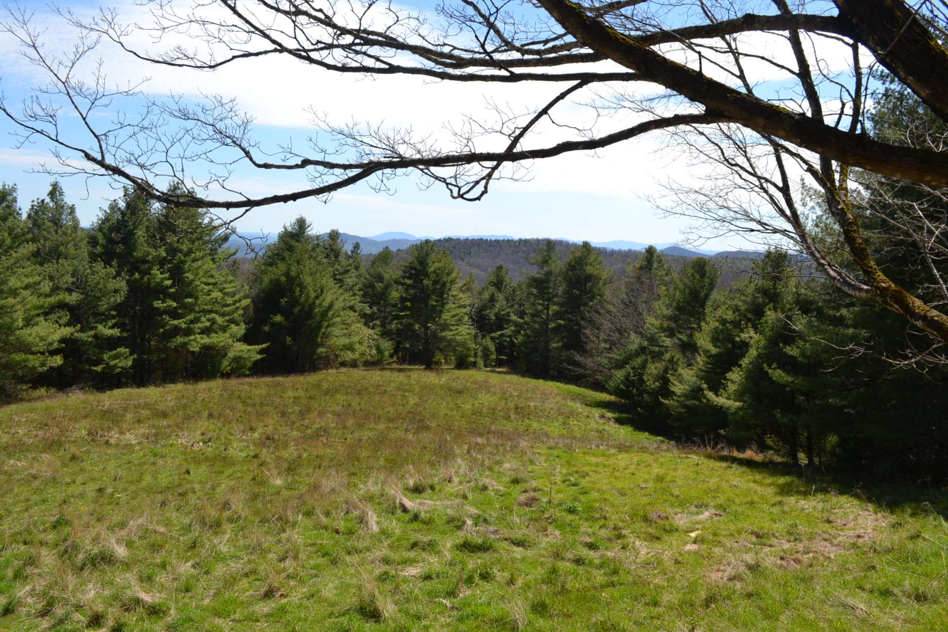 Multiple home sites give you a choice of building your private mountain retreat to enjoy amazing Blue Ridge Mountain views or surrounded by hardwood forest where the only sound you hear is the call of a lone whippoorwill on the next ridge.