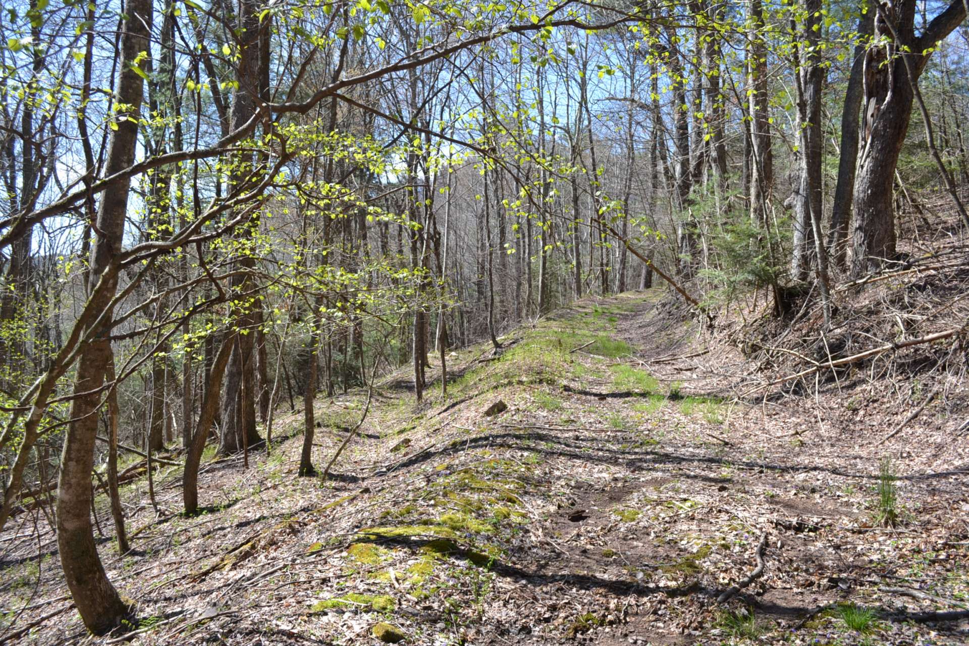 The interior roads are great for hiking, ATVs, or horseback riding.  This property is also offered in separate tracts.  Two 35 acre tracts are offered individually at $122,500 each.  And a 2.88 acre tract is offered separately at $25,000.  Call for more details on the divisions.