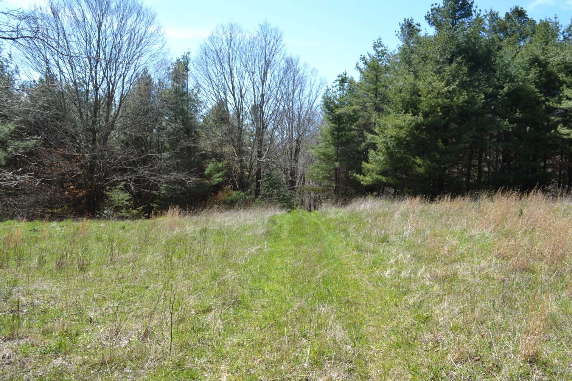 Follow the road on through an old homestead for more exploration.