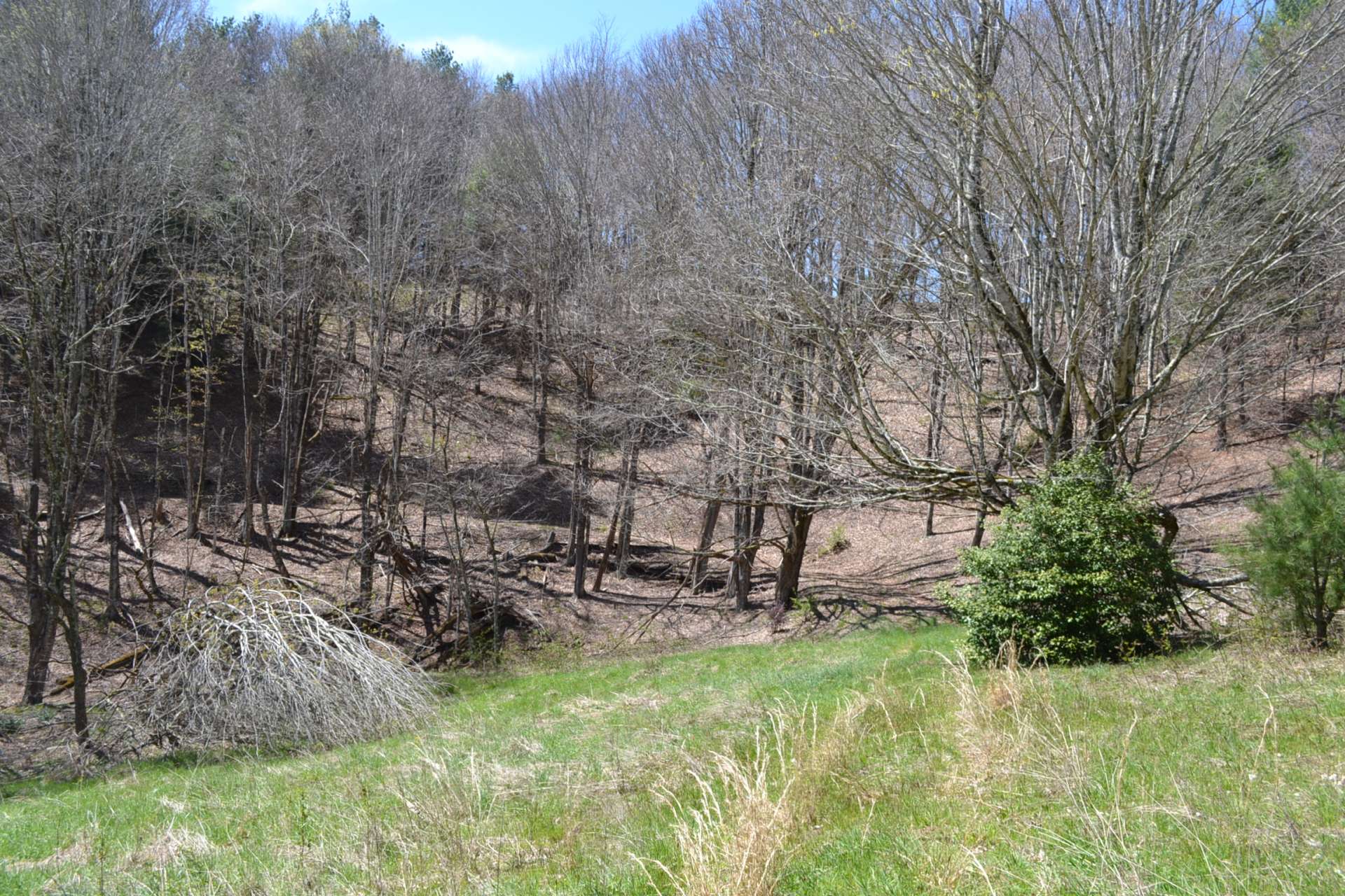 Here you will find remnants of a lifestyle of long ago. Notice the beautiful native holly bush planted many years ago.