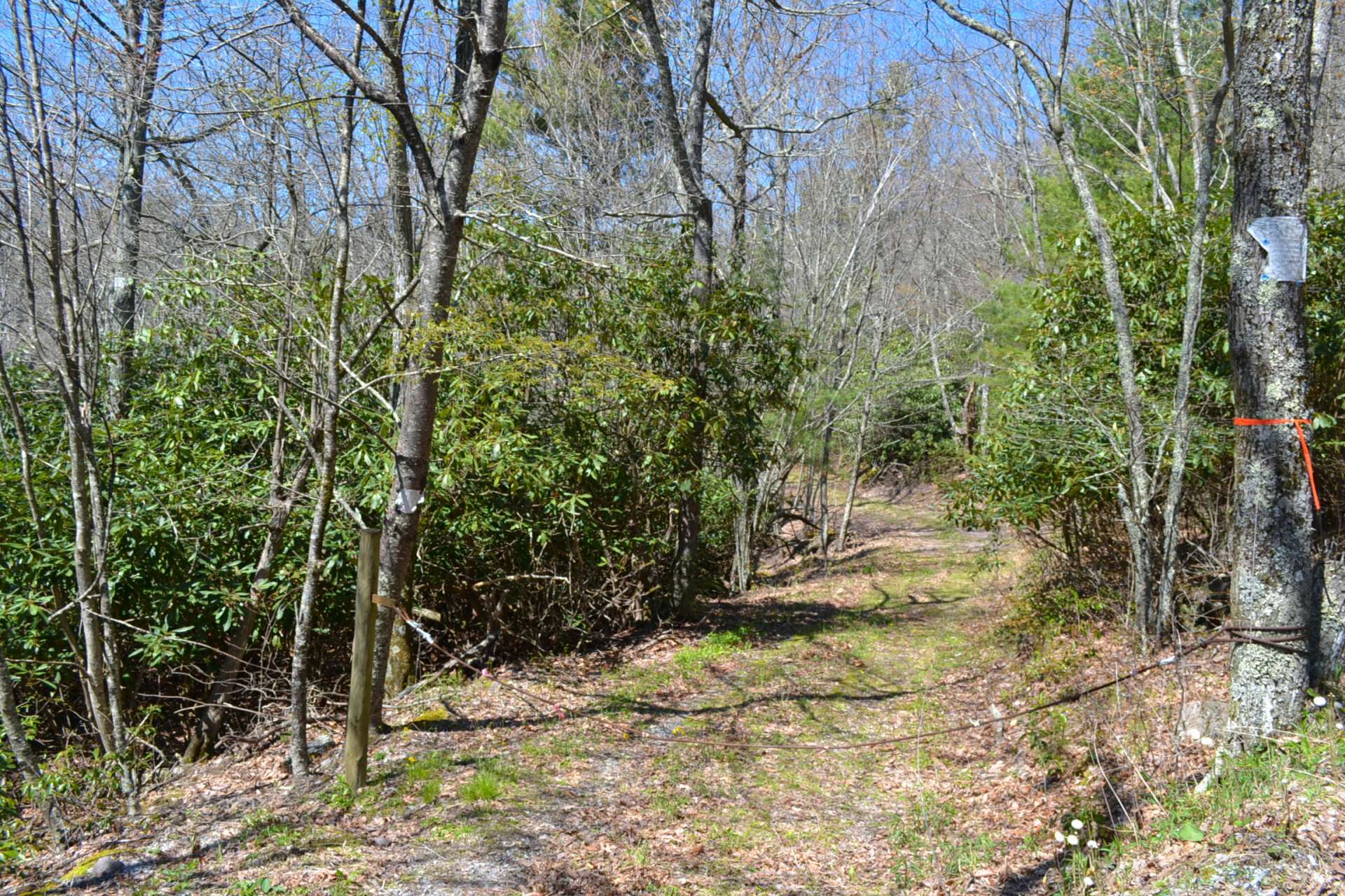 Accessed from a seldom travel country state maintained road, this tract is within walking distance of the Jefferson National Forest.