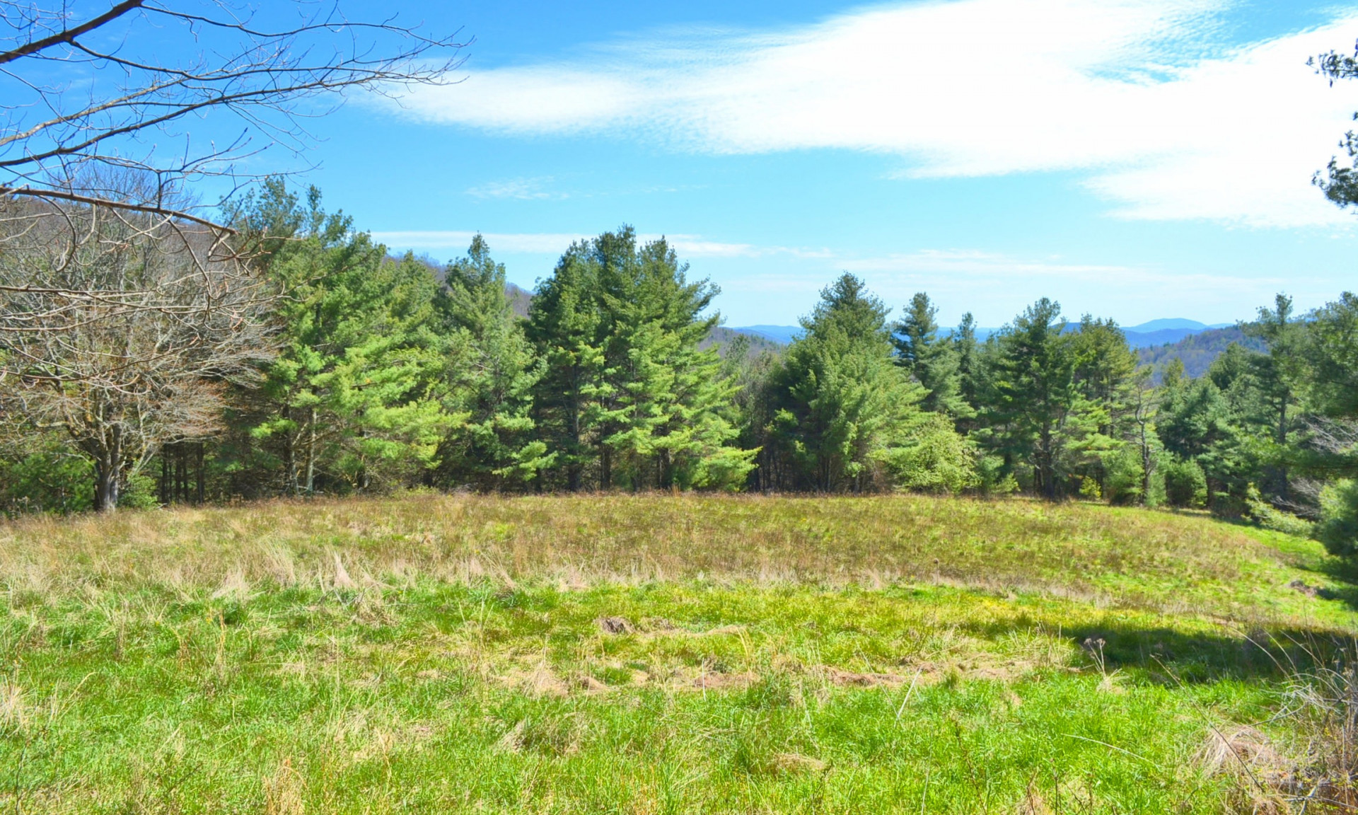 Open pastures, trees stretching to the sky, long road frontage on a quiet country road, whitetail deer, wild turkey, mountain grouse, chipmunks, squirrels and the occasional black bear make this private tract perfect for the wildlife enthusiast looking for a place to build their mountain retreat or full time home.