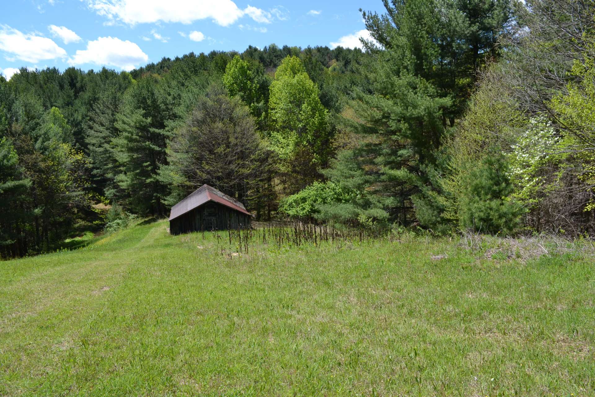 VA Mountain Hunting Paradise Acreage