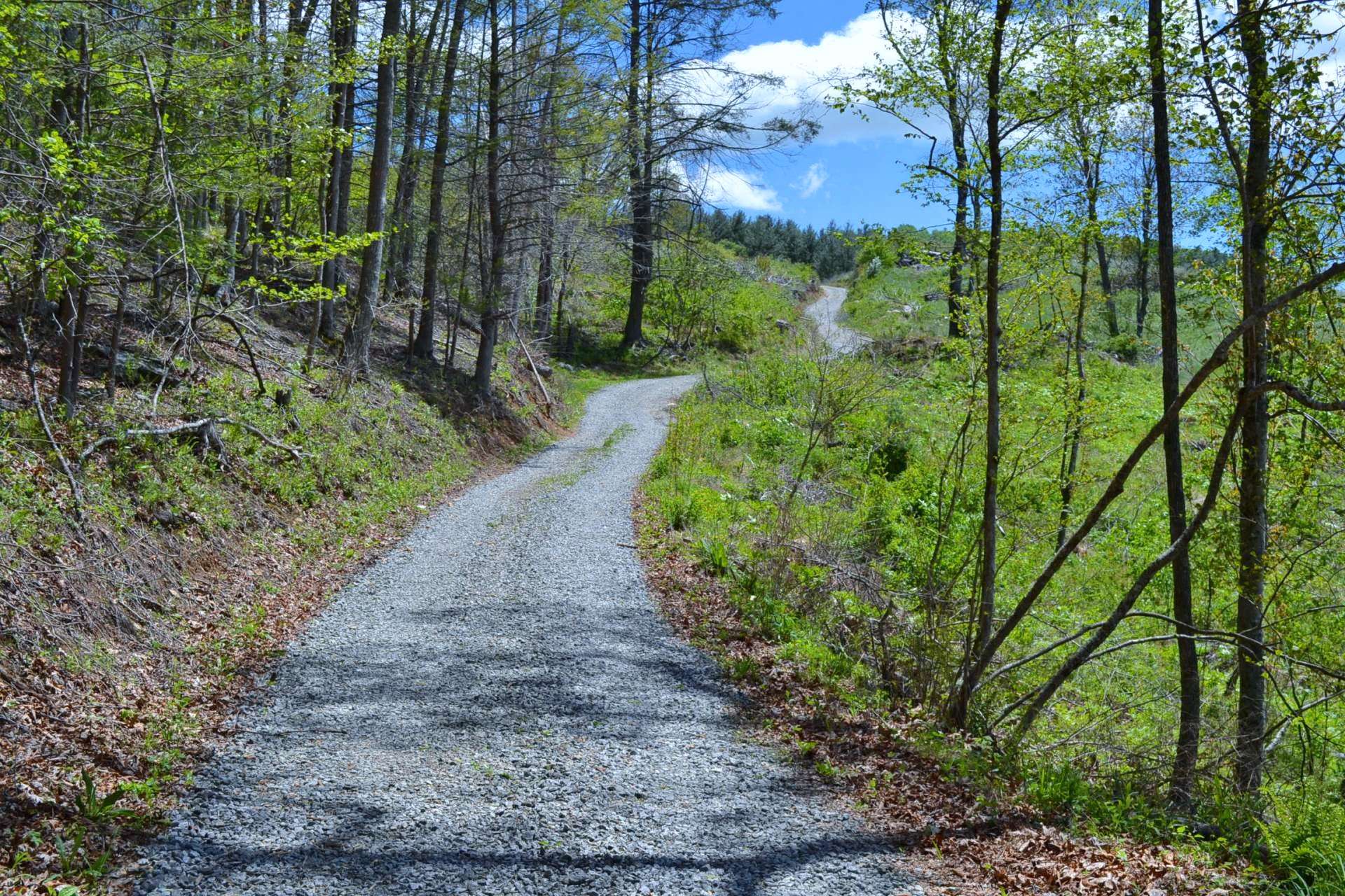 A private road provides deeded right of way access from the state maintained road to your property.