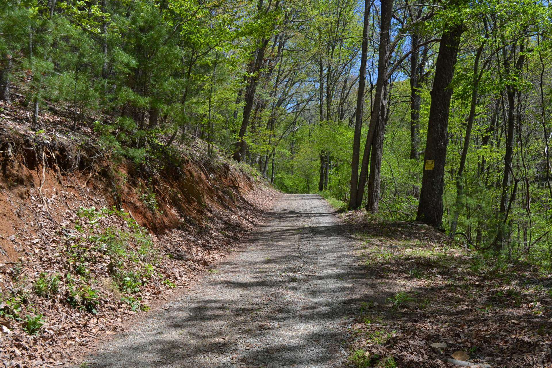 VA Mountain Hunting Paradise Acreage