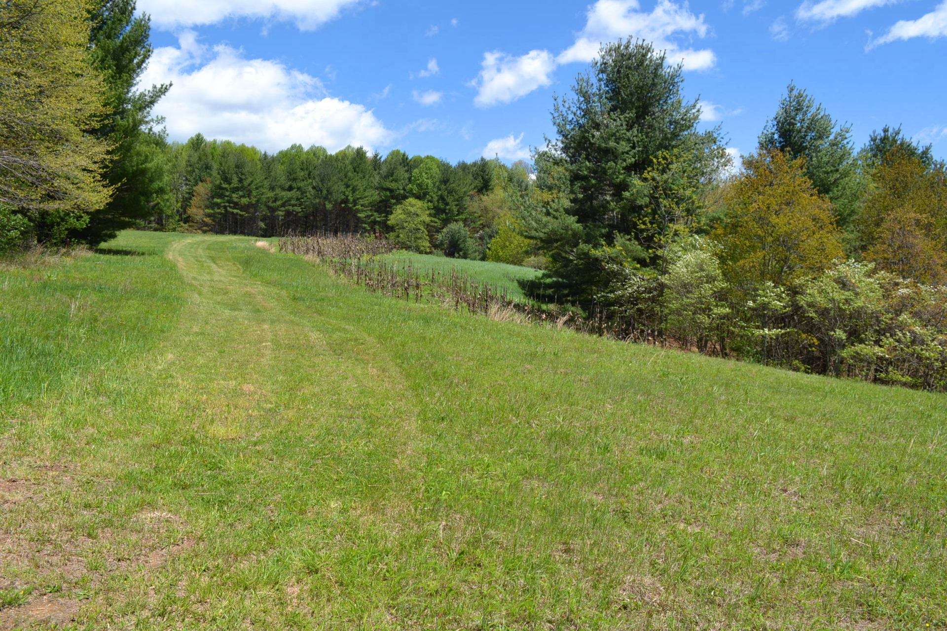 VA Mountain Hunting Paradise Acreage