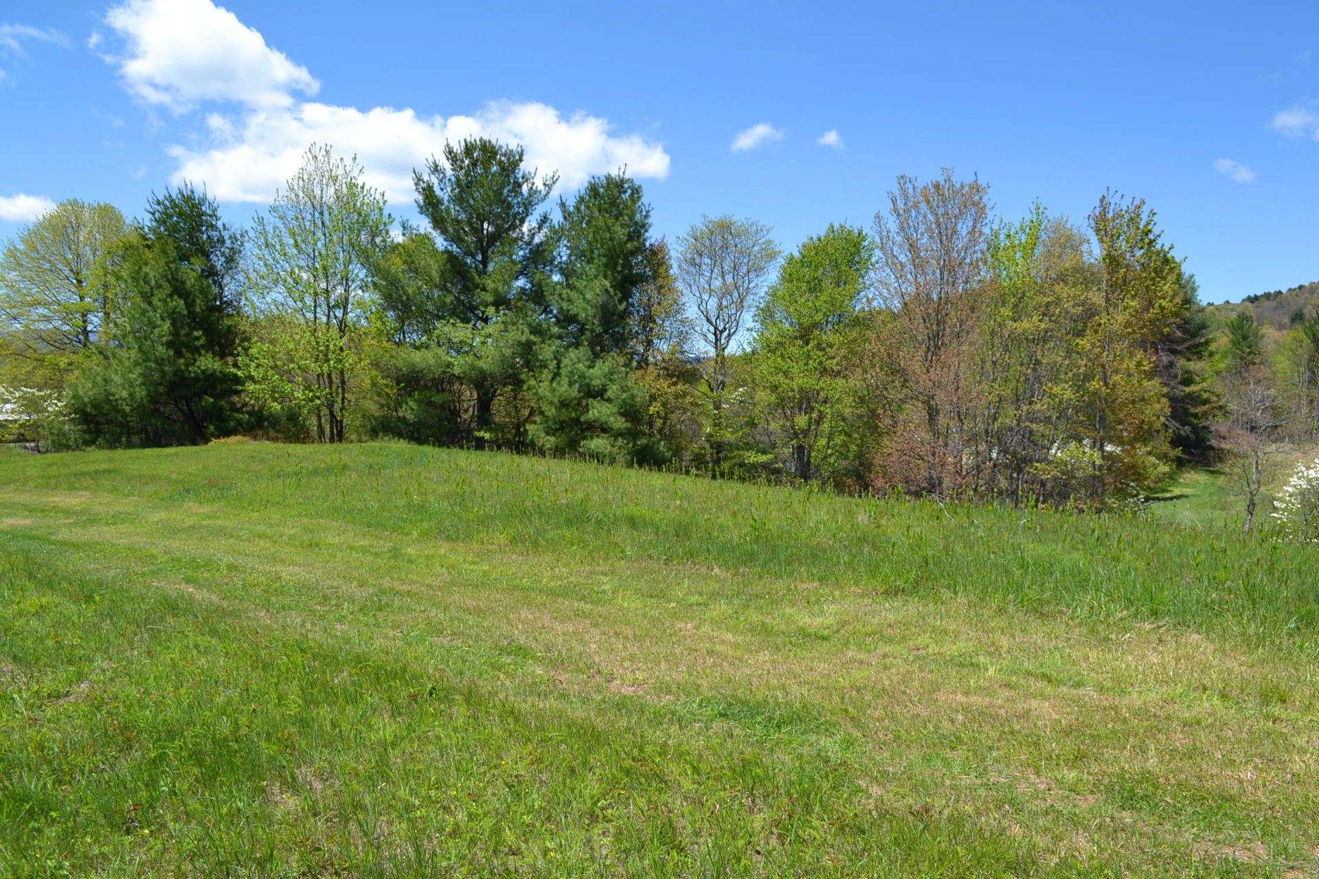 VA Mountain Hunting Paradise Acreage