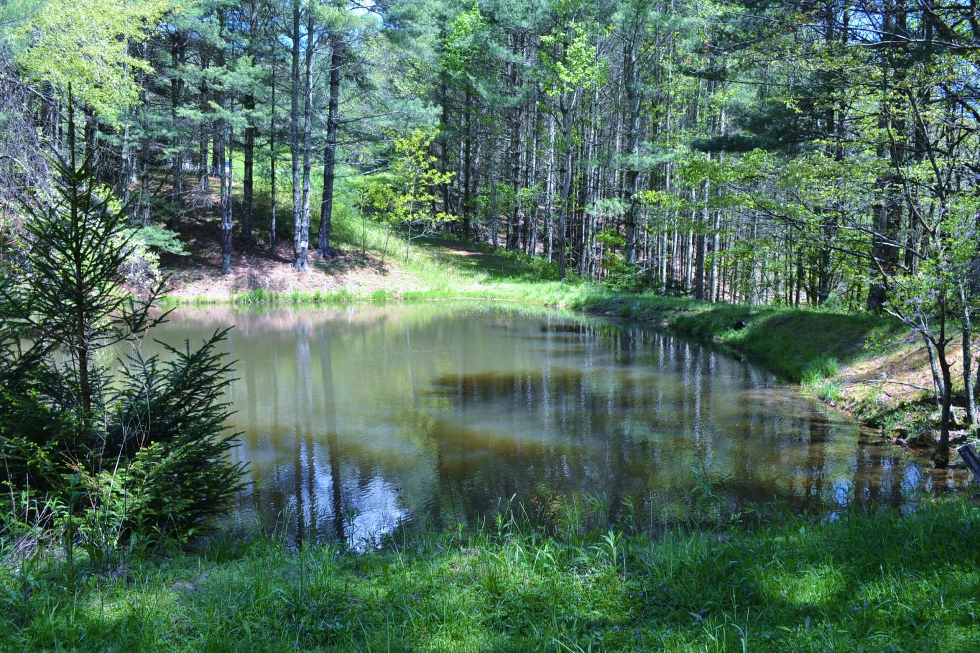 VA Mountain Hunting Paradise Acreage