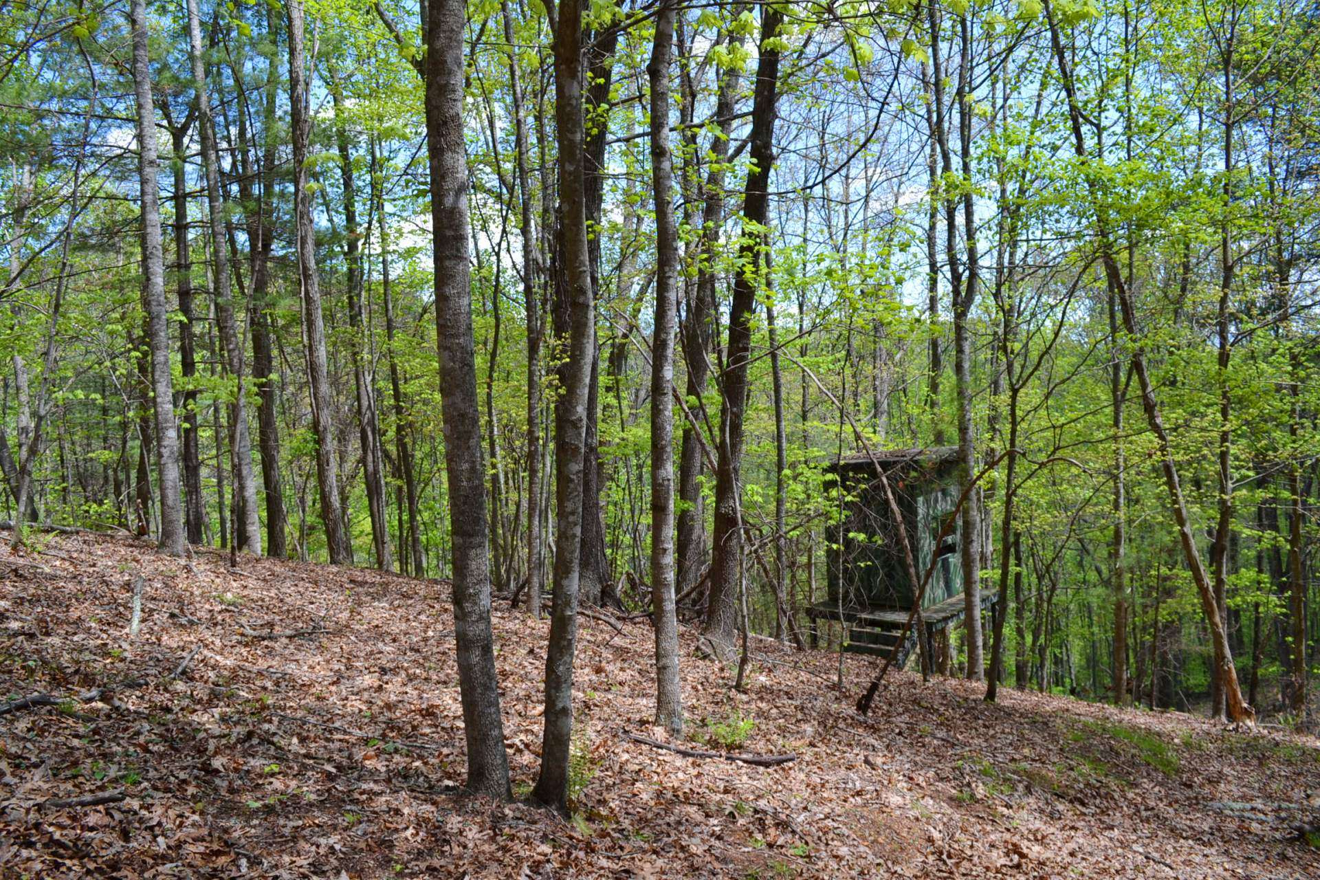 Stalk that trophy buck or just observe Nature with these hunting blinds.