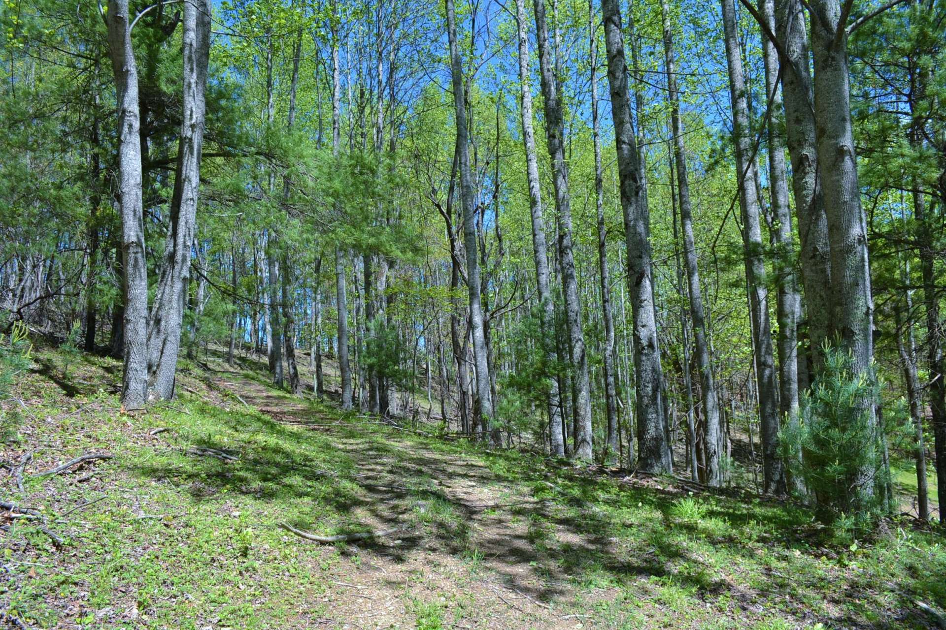 Lots of ATV, horseback trails, or hiking trails throughout the property allows for many recreational options.