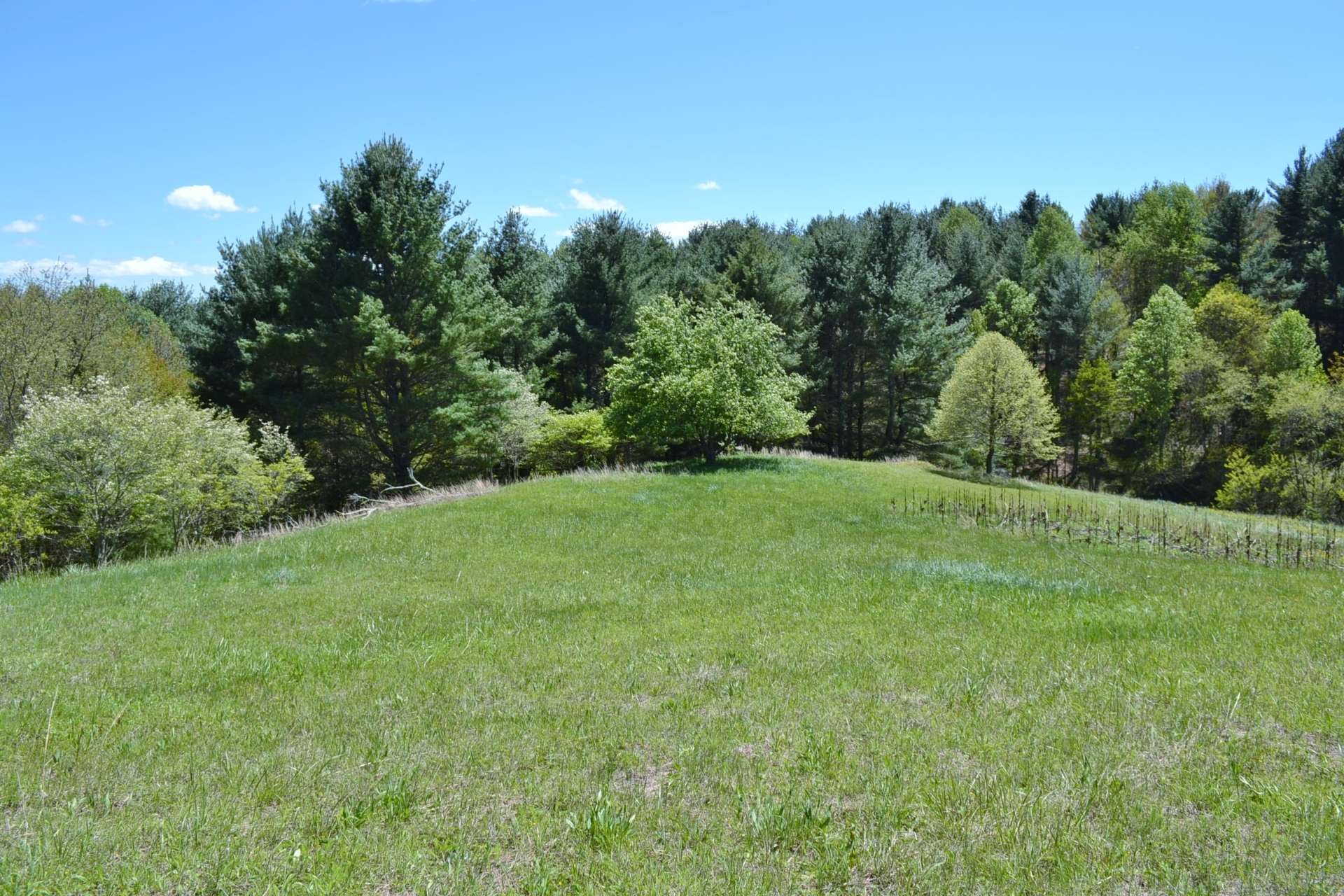 VA Mountain Hunting Paradise Acreage