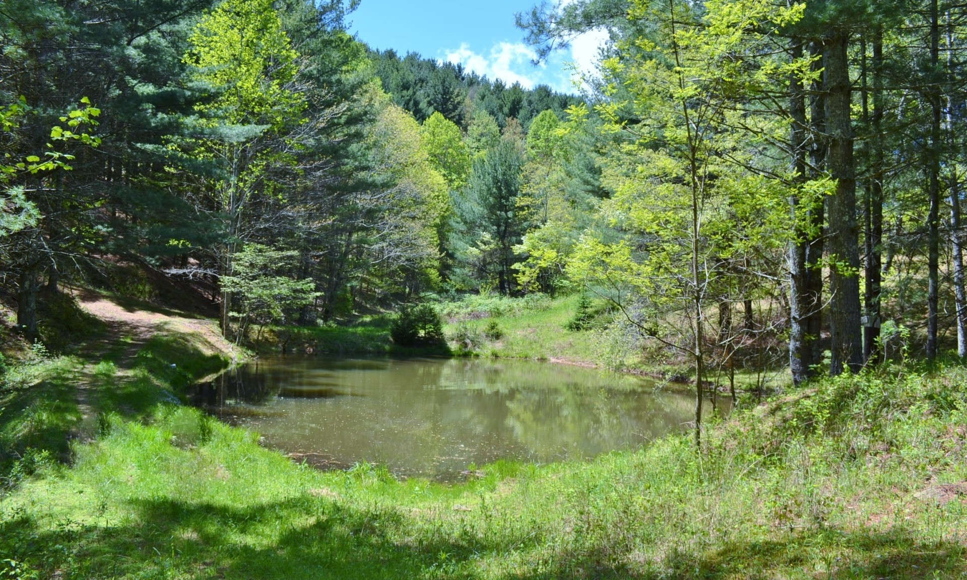 A SPORTSMAN'S PARADISE! This 45.94 acre tract offers complete privacy with a hunting cabin and spring fed pond.