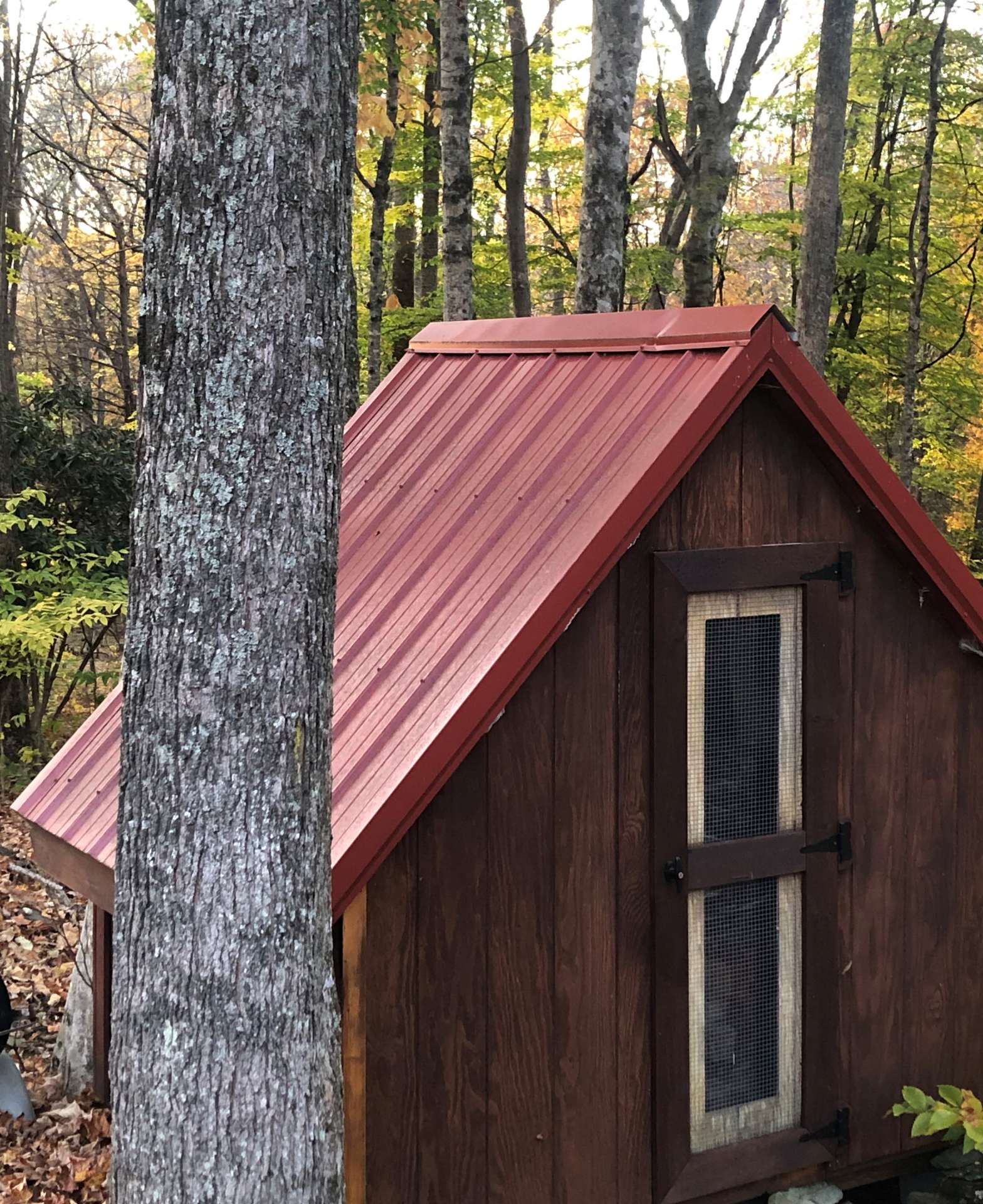 Chicken coop- all you need to add is the wire run.