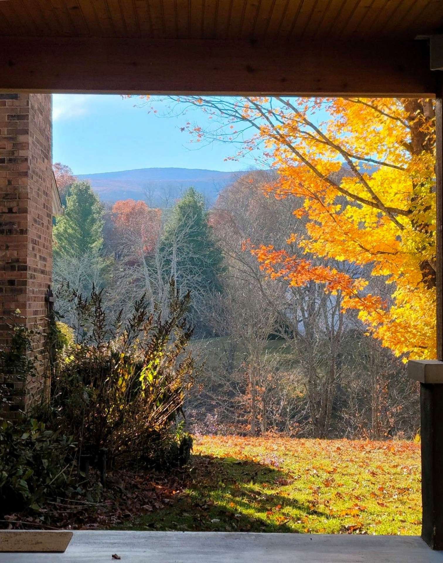The Seller provided these photos of the Fall and winter view from the porch.