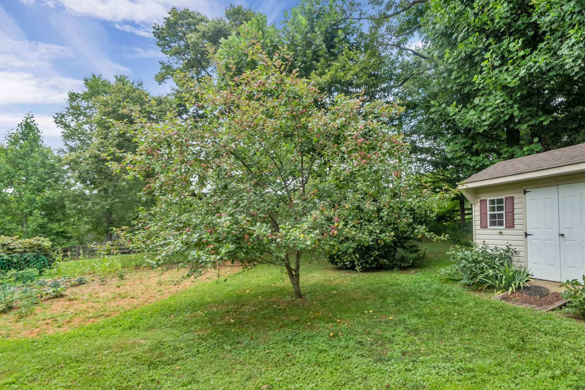 There are 4 apple trees providing beautiful apples. There is also a large chestnut tree on the property.