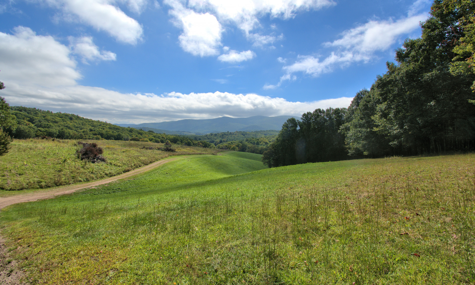 Virginia Mountain Land with Views