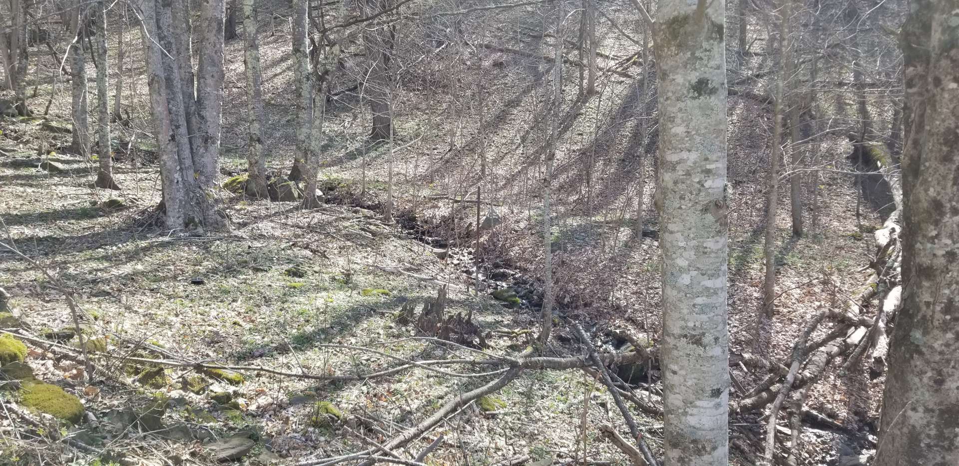 A small mountain stream flows through the property creating a water source for livestock and wildlife.